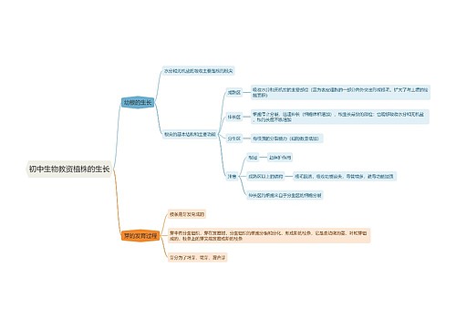初中生物教资植株的生长思维导图