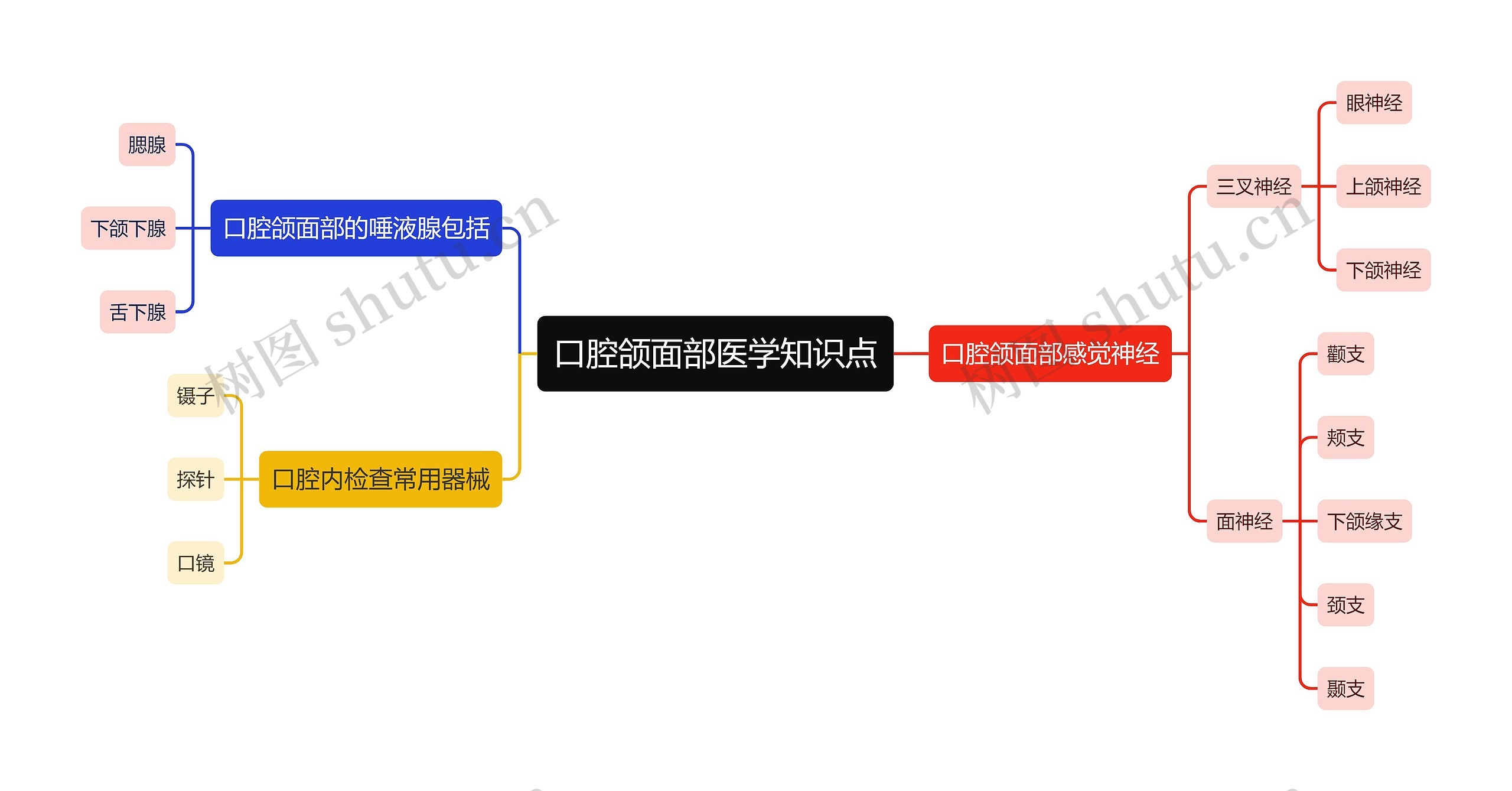 口腔颌面部医学知识点