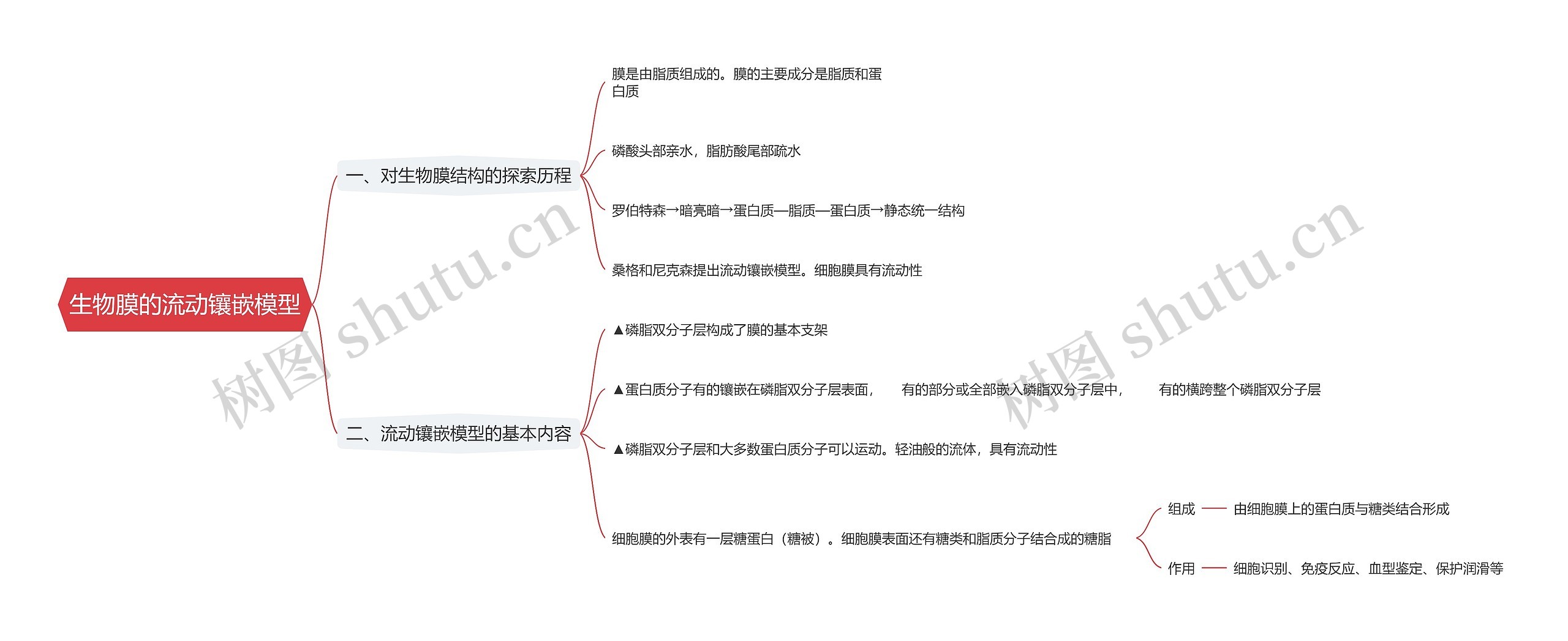 生物膜的流动镶嵌模型思维导图