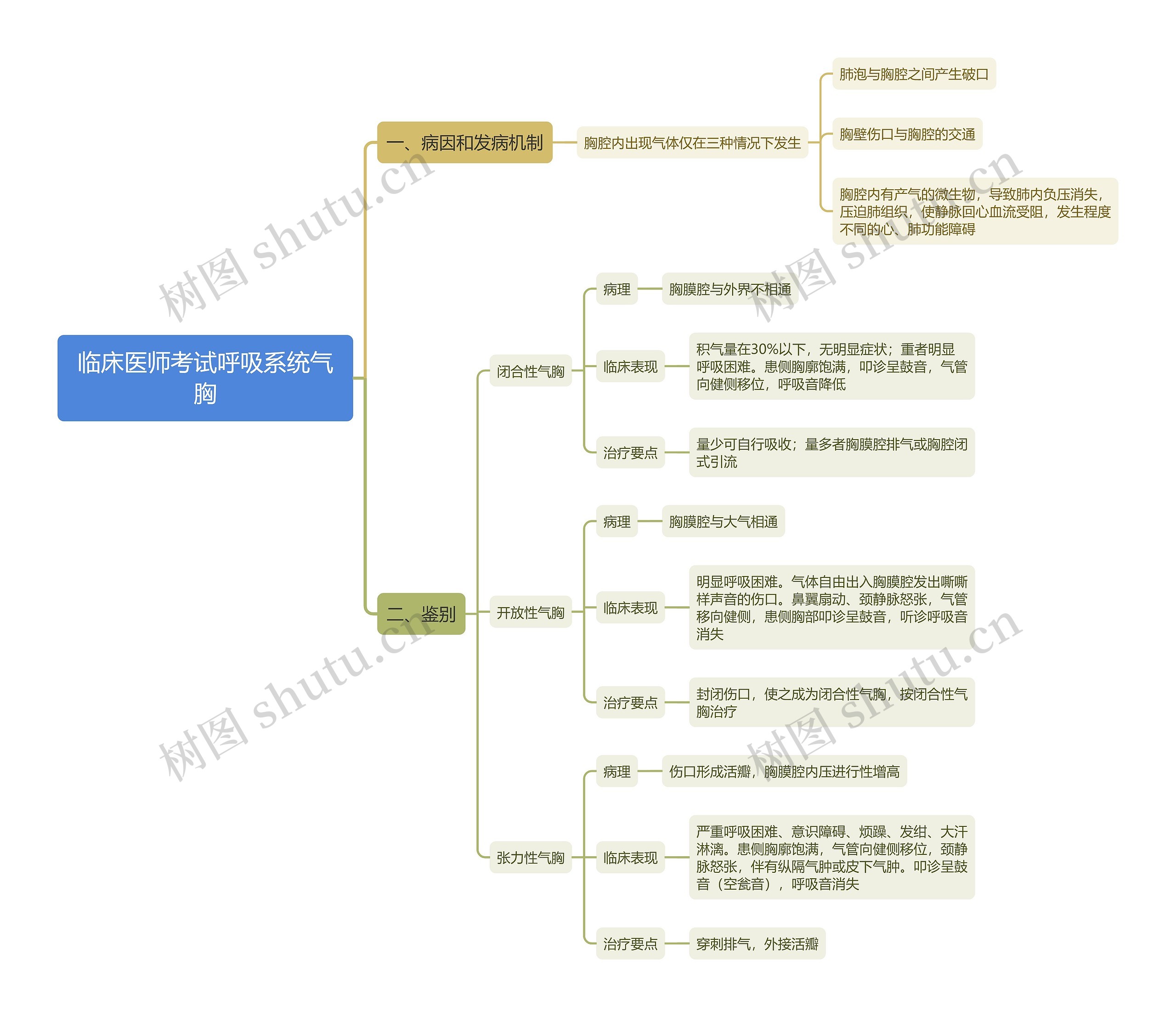 临床医师考试呼吸系统气胸思维导图