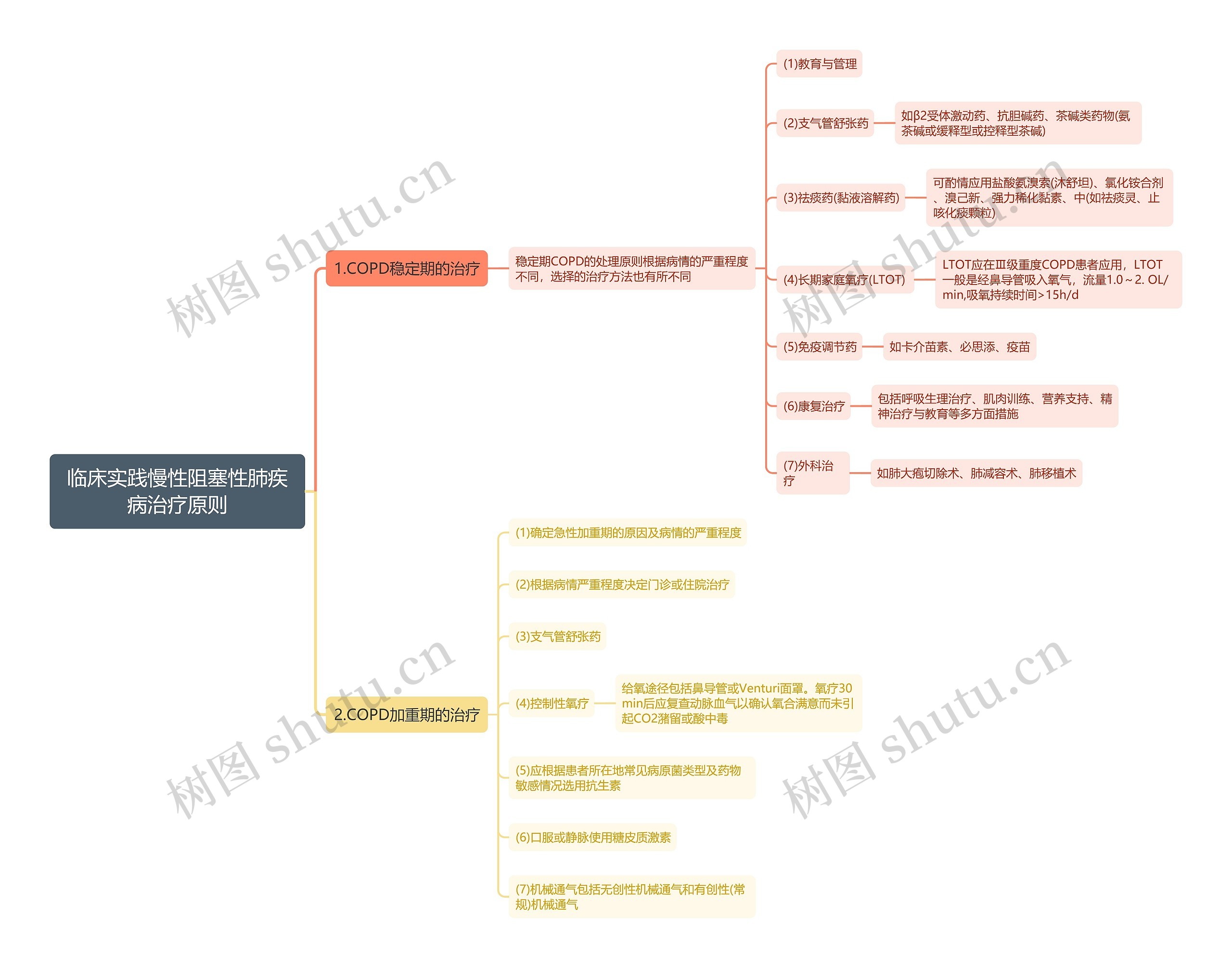 临床实践慢性阻塞性肺疾病治疗原则思维导图