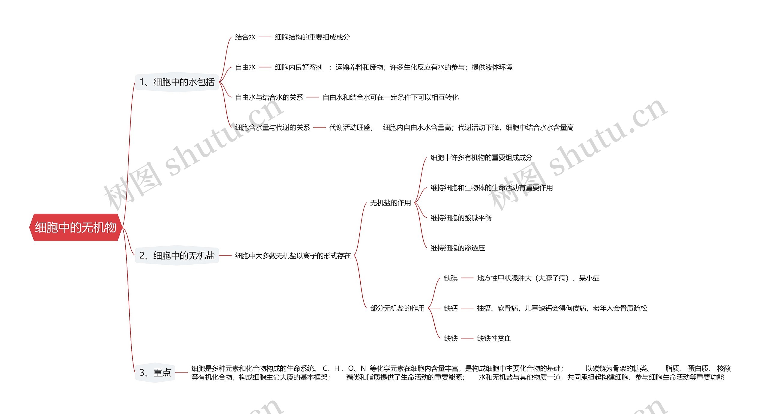 细胞中的无机物思维导图