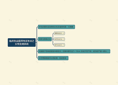 临床执业医师考试考点之女性生殖系统