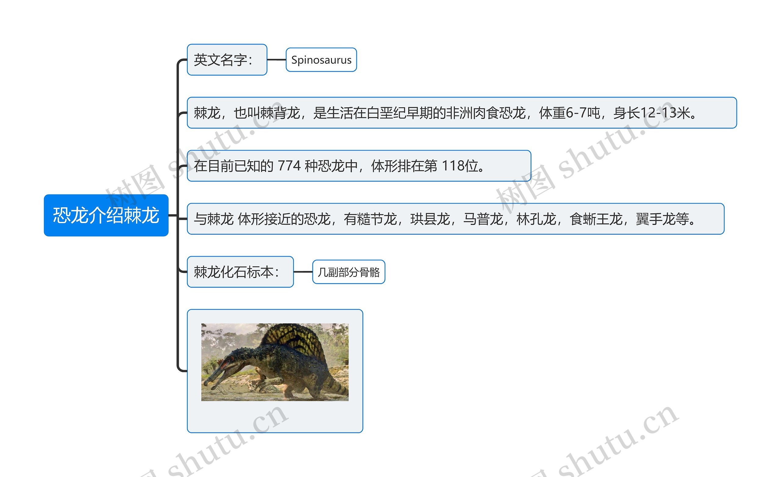 恐龙介绍棘龙思维导图