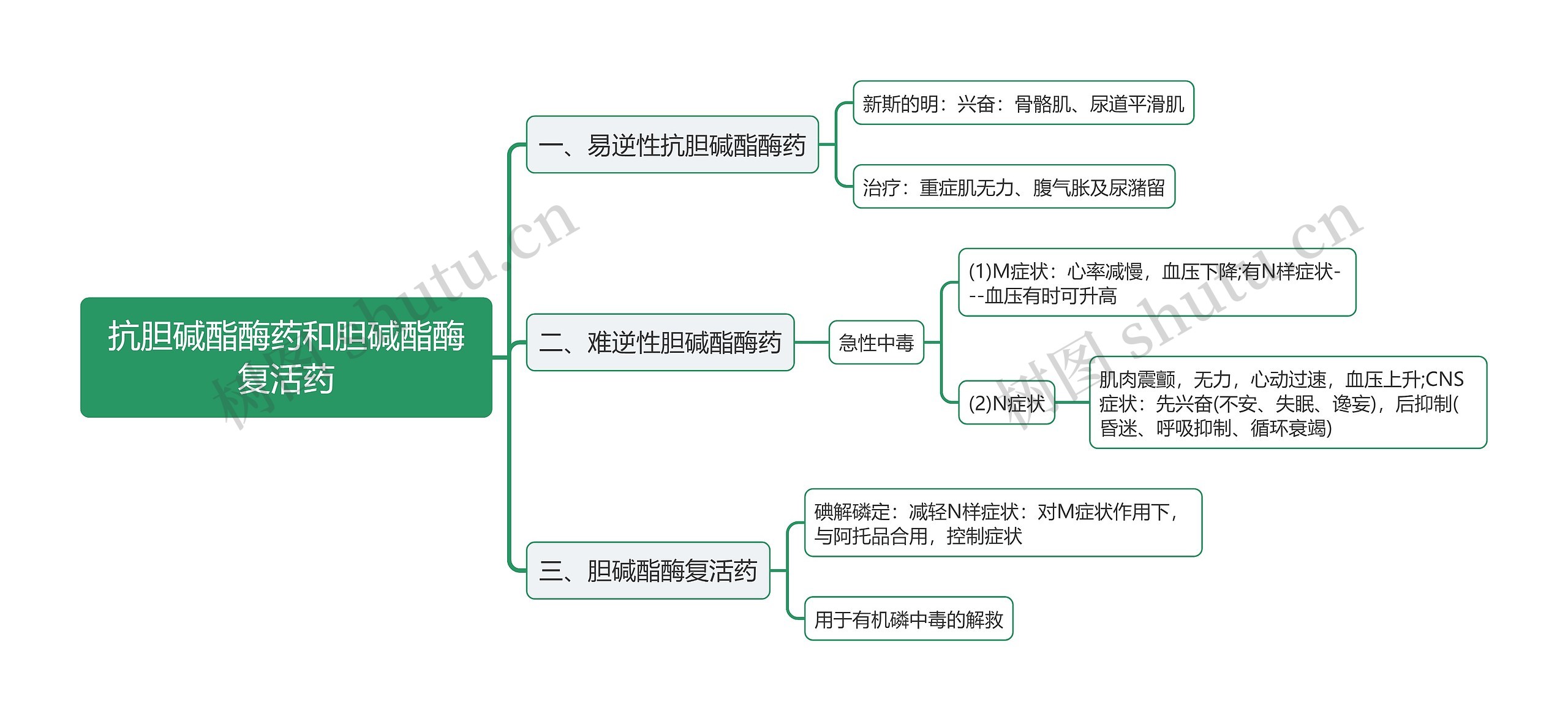 抗胆碱酯酶药和胆碱酯酶复活药思维导图