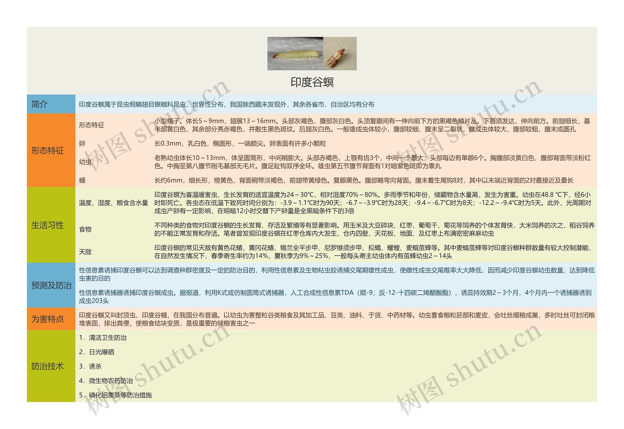 印度谷螟思维导图