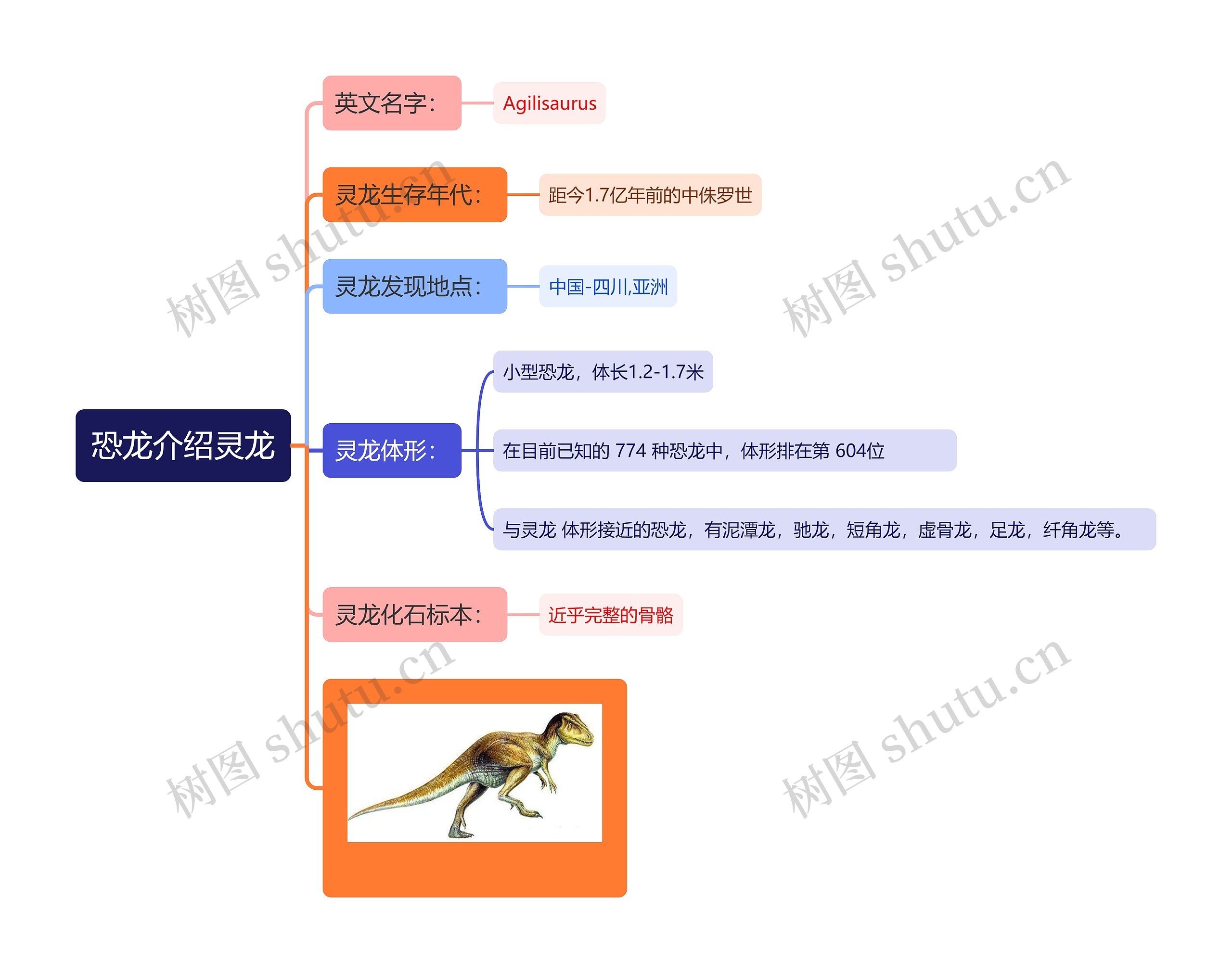 恐龙介绍灵龙