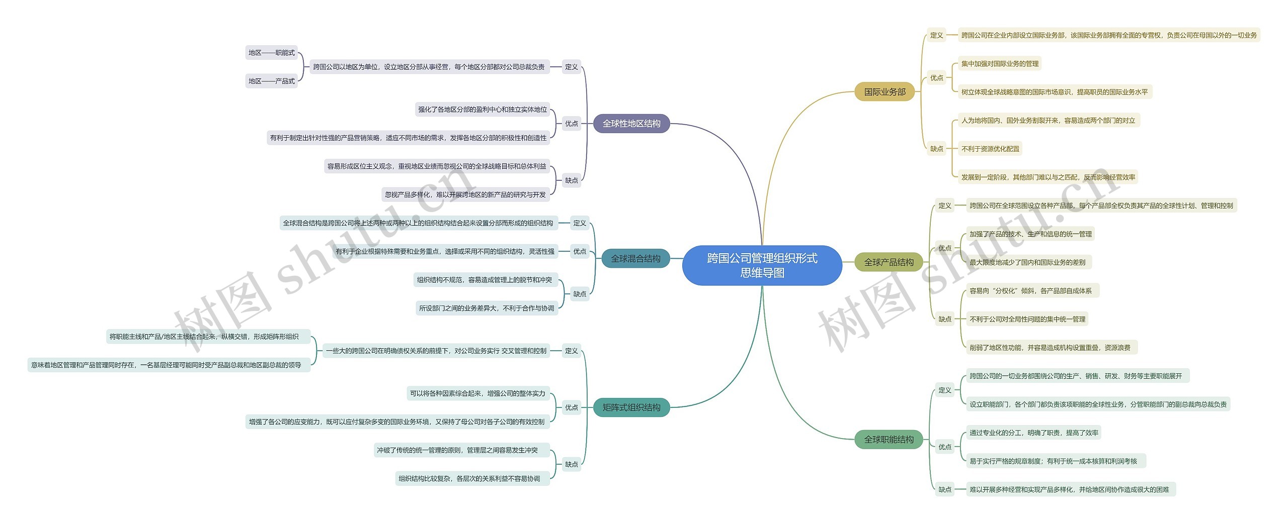 跨国公司管理组织形式思维导图