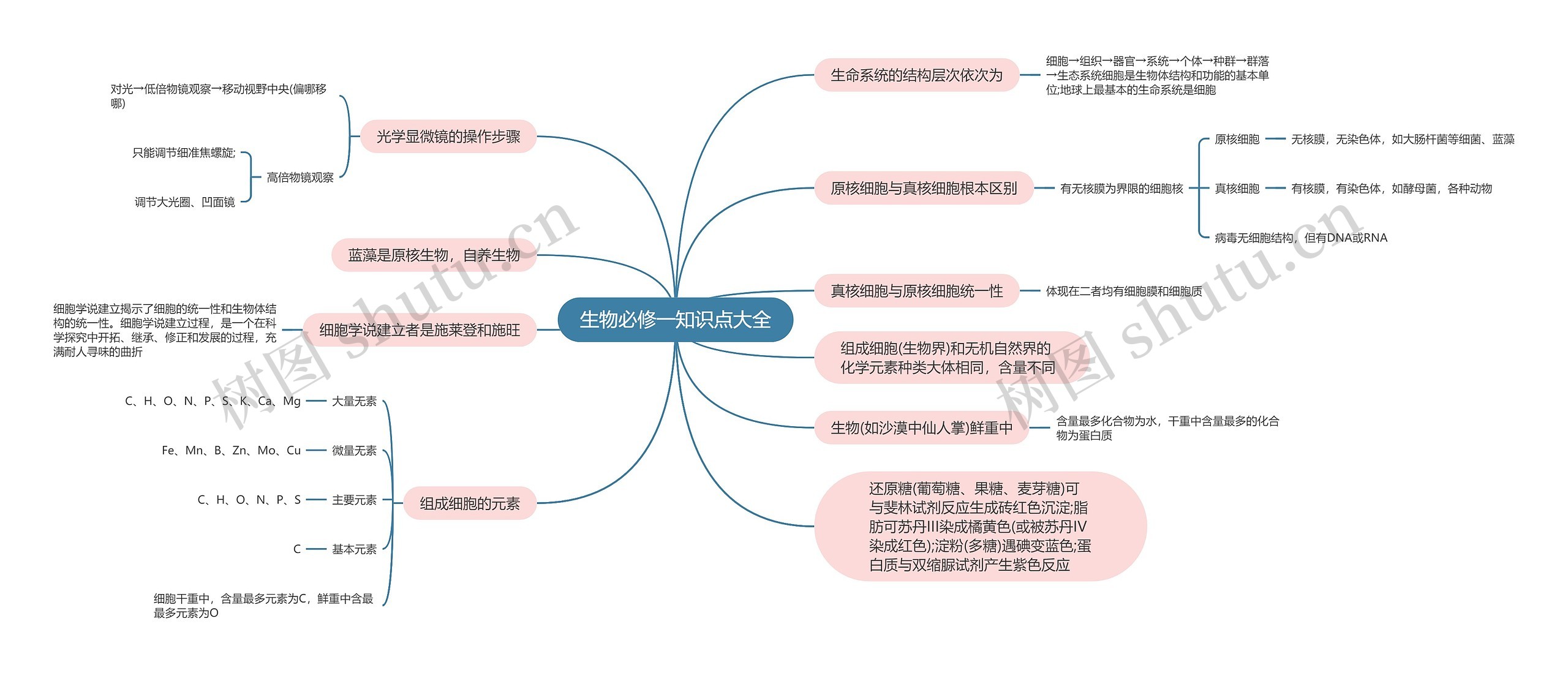 生物必修一知识点大全