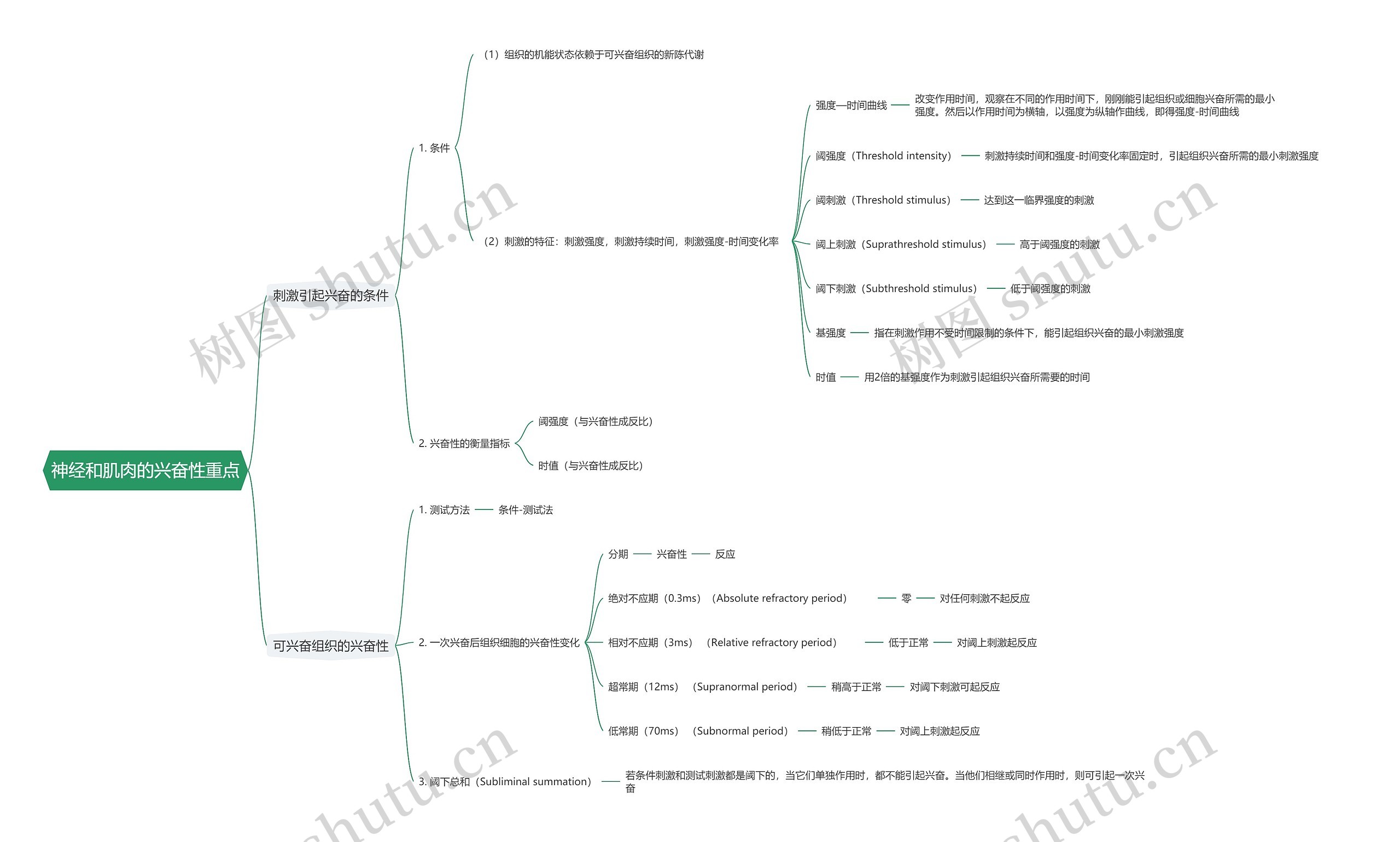 神经和肌肉的兴奋性重点思维导图
