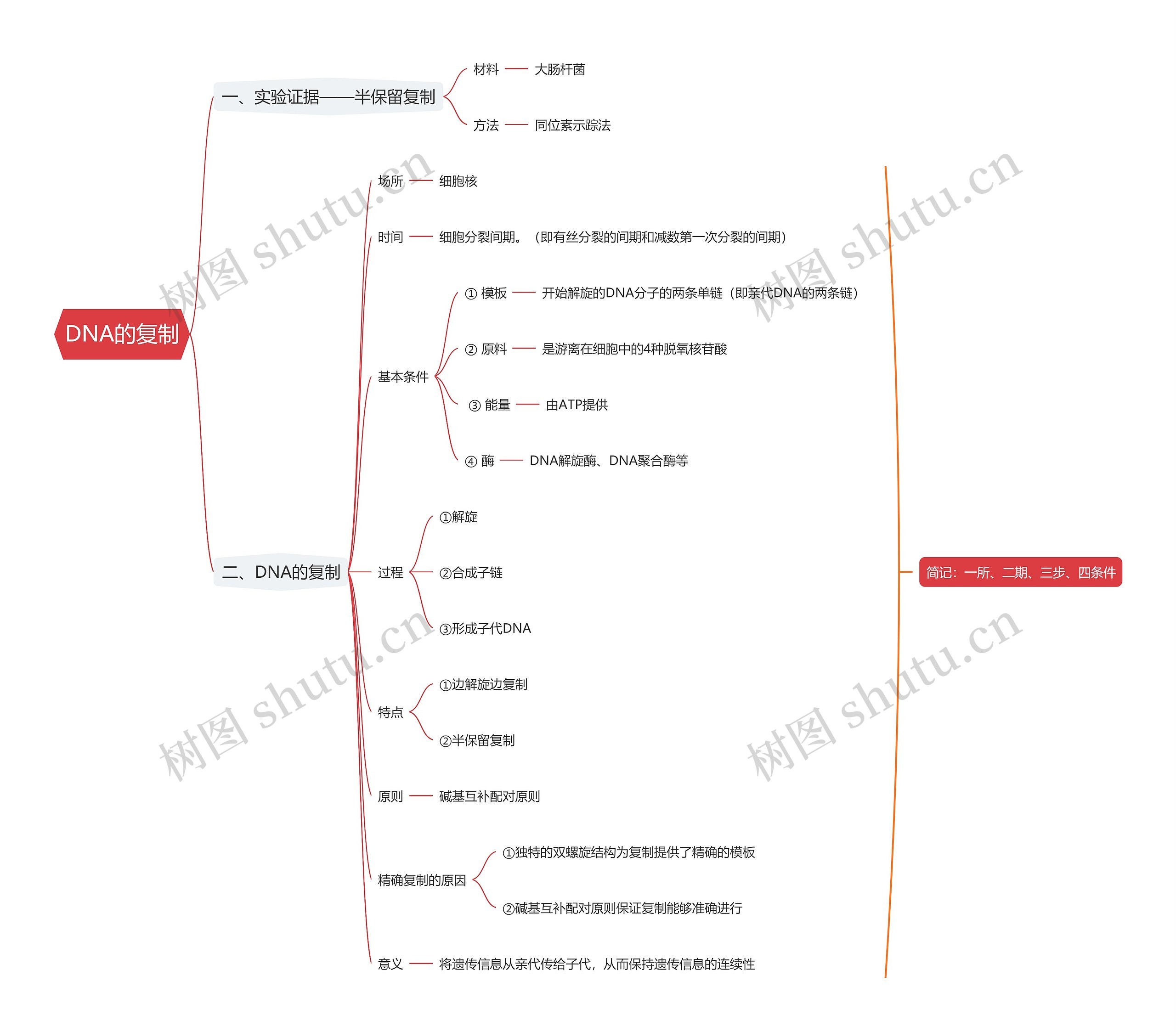 DNA的复制思维导图