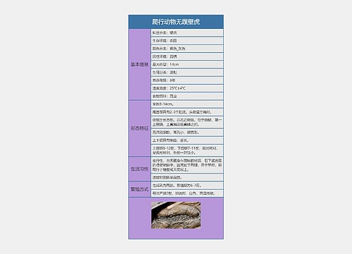 爬行动物无蹼壁虎