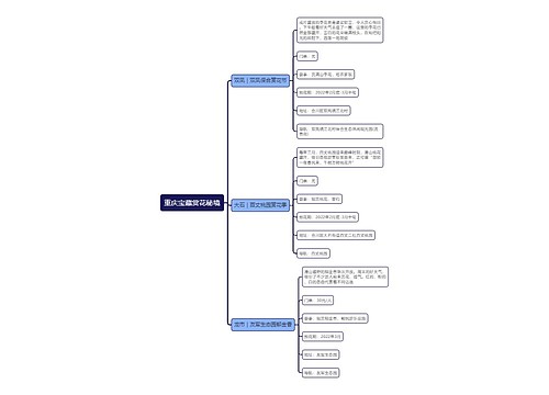 重庆宝藏赏花秘境思维导图