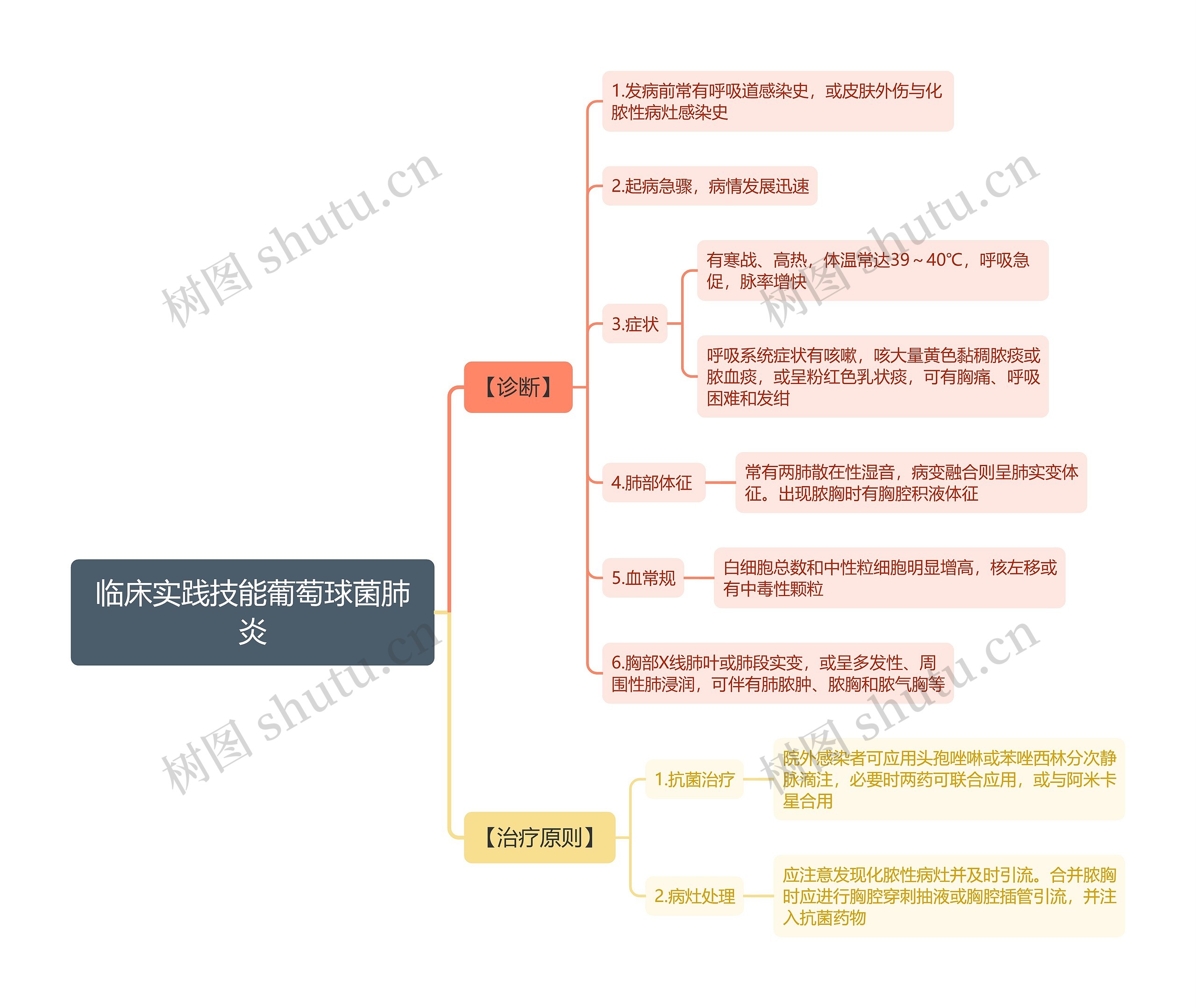 临床实践技能葡萄球菌肺炎思维导图