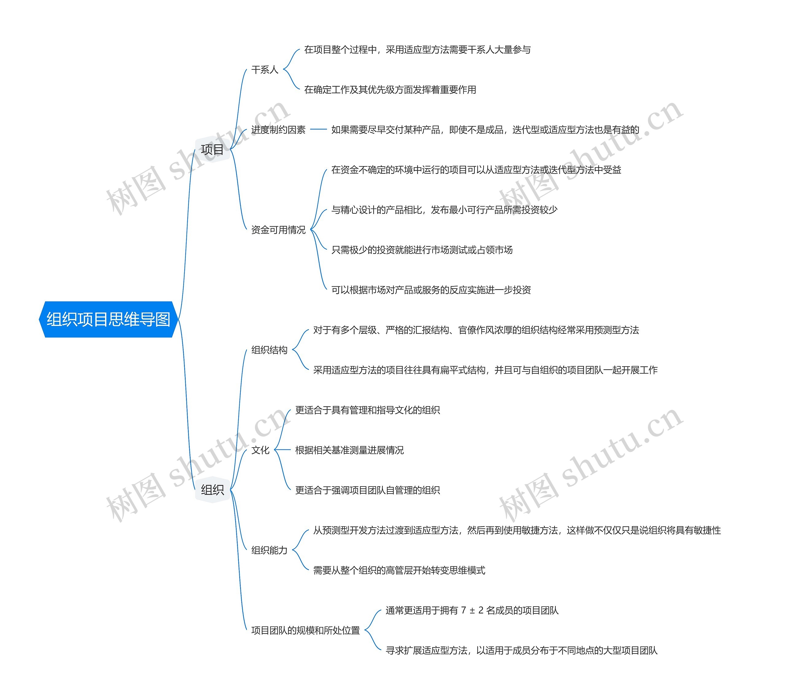 组织项目思维导图