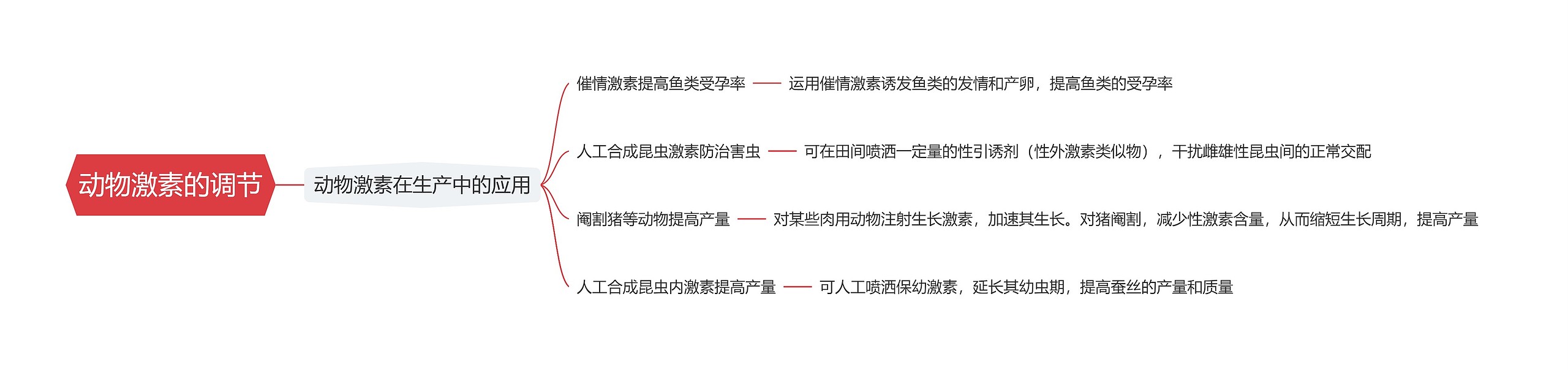 动物激素的调节思维导图