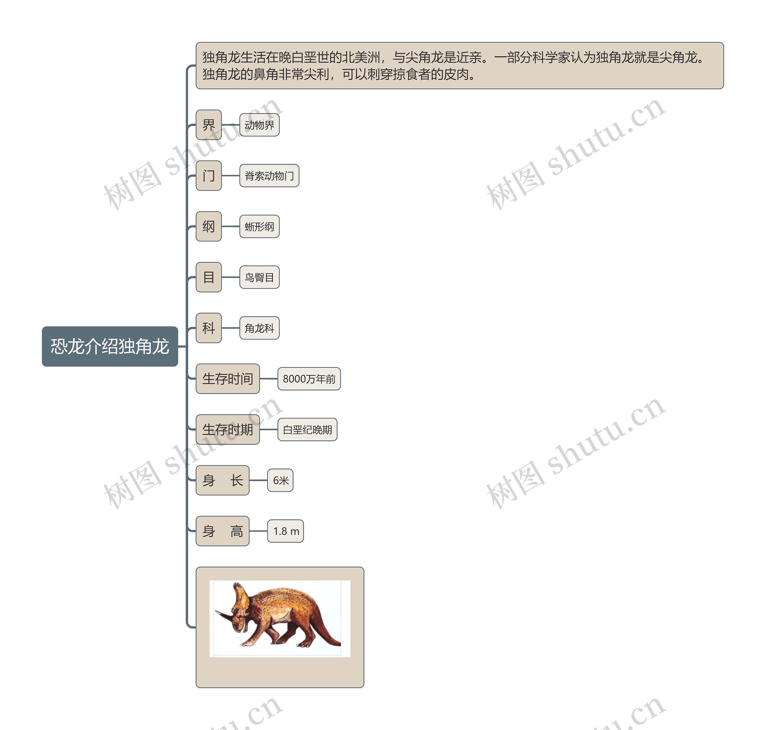 恐龙介绍独角龙思维导图