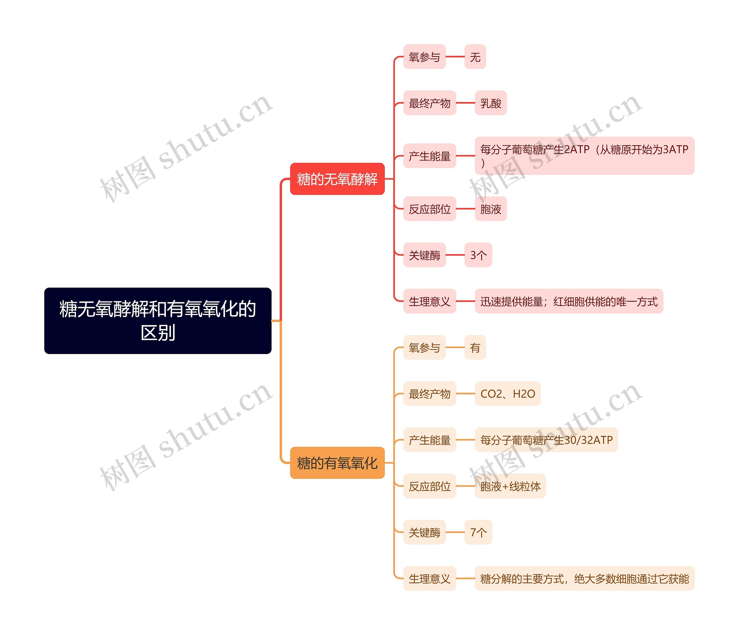 糖无氧酵解和有氧氧化的区别思维导图