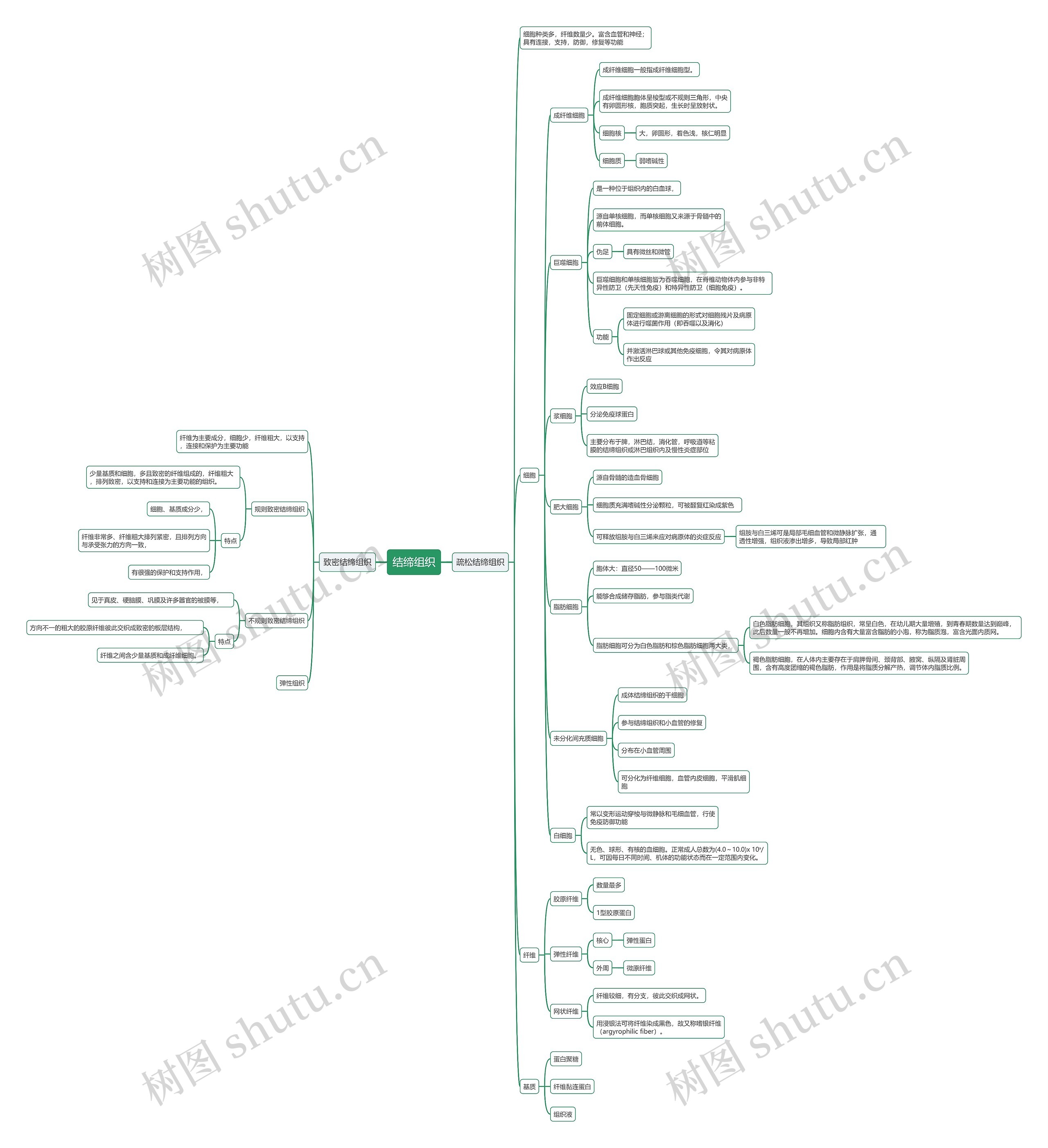 结缔组织思维导图