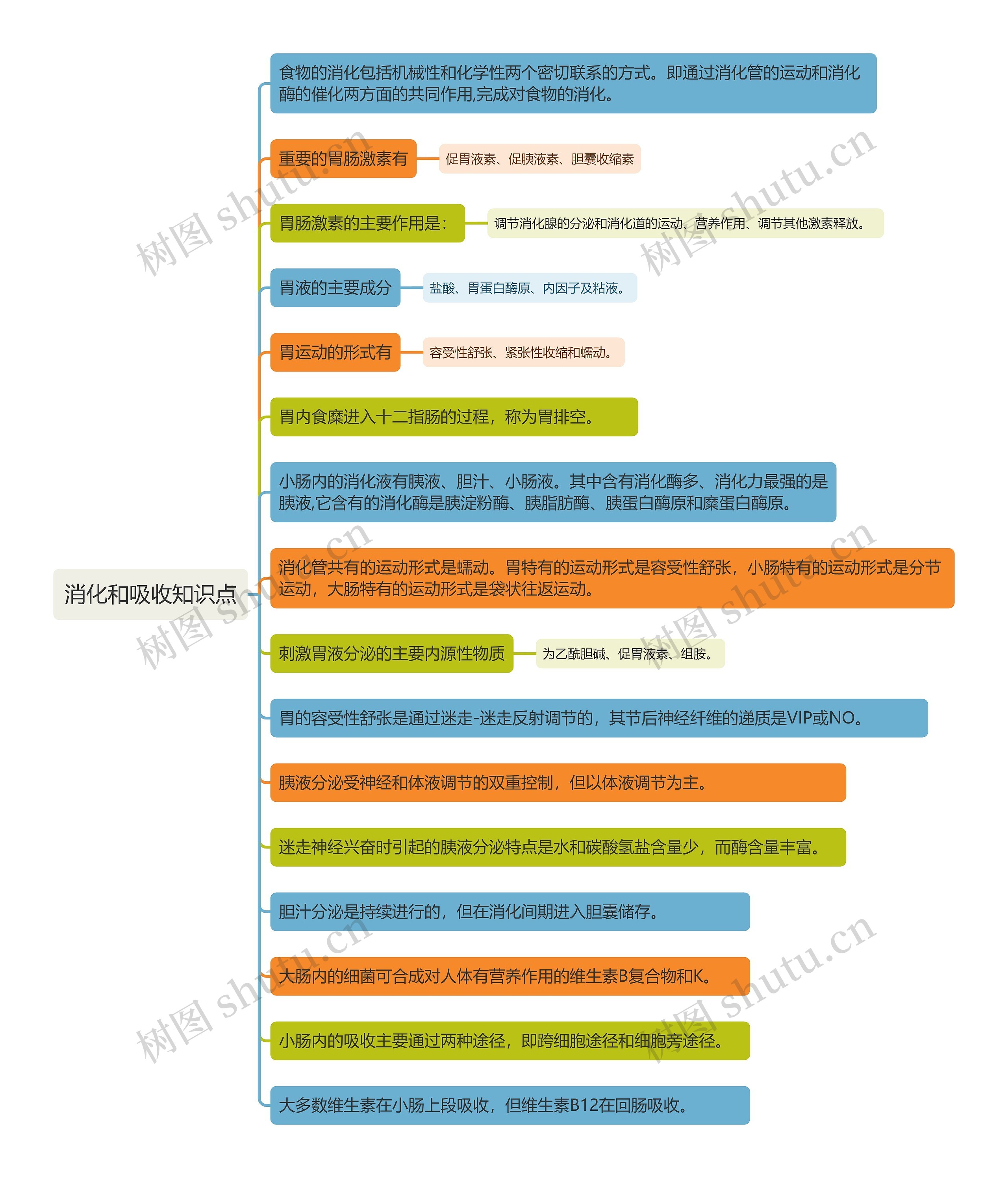 消化和吸收知识点思维导图