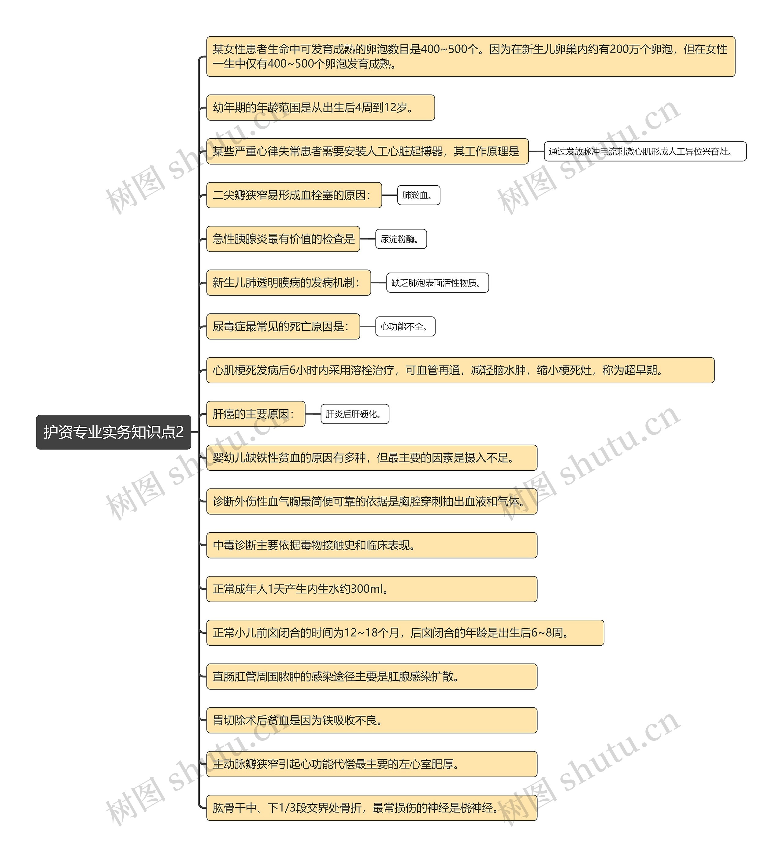 护资专业实务知识点2思维导图