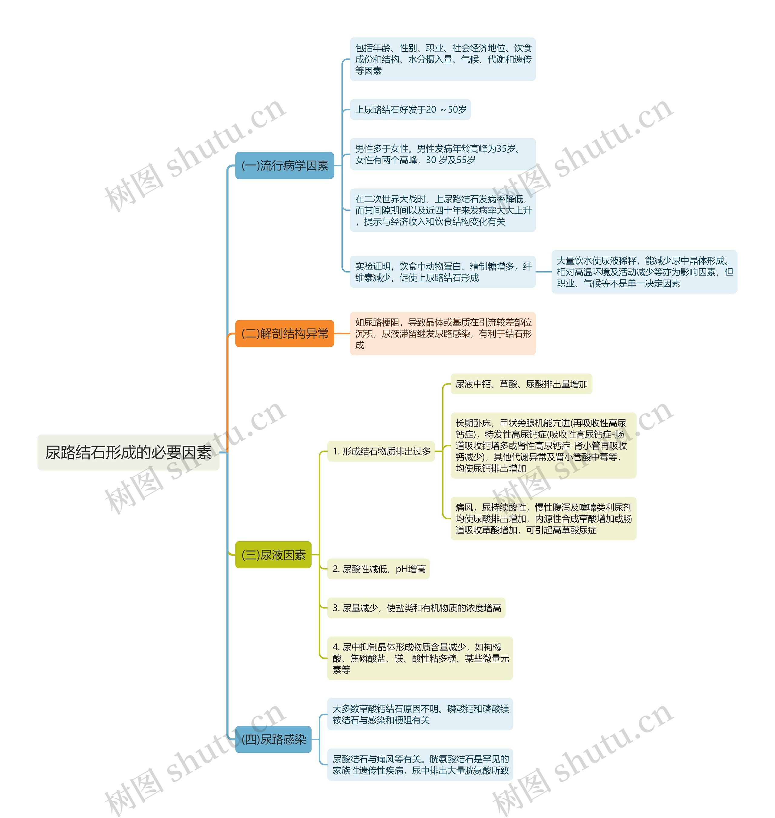 尿路结石形成的必要因素思维导图