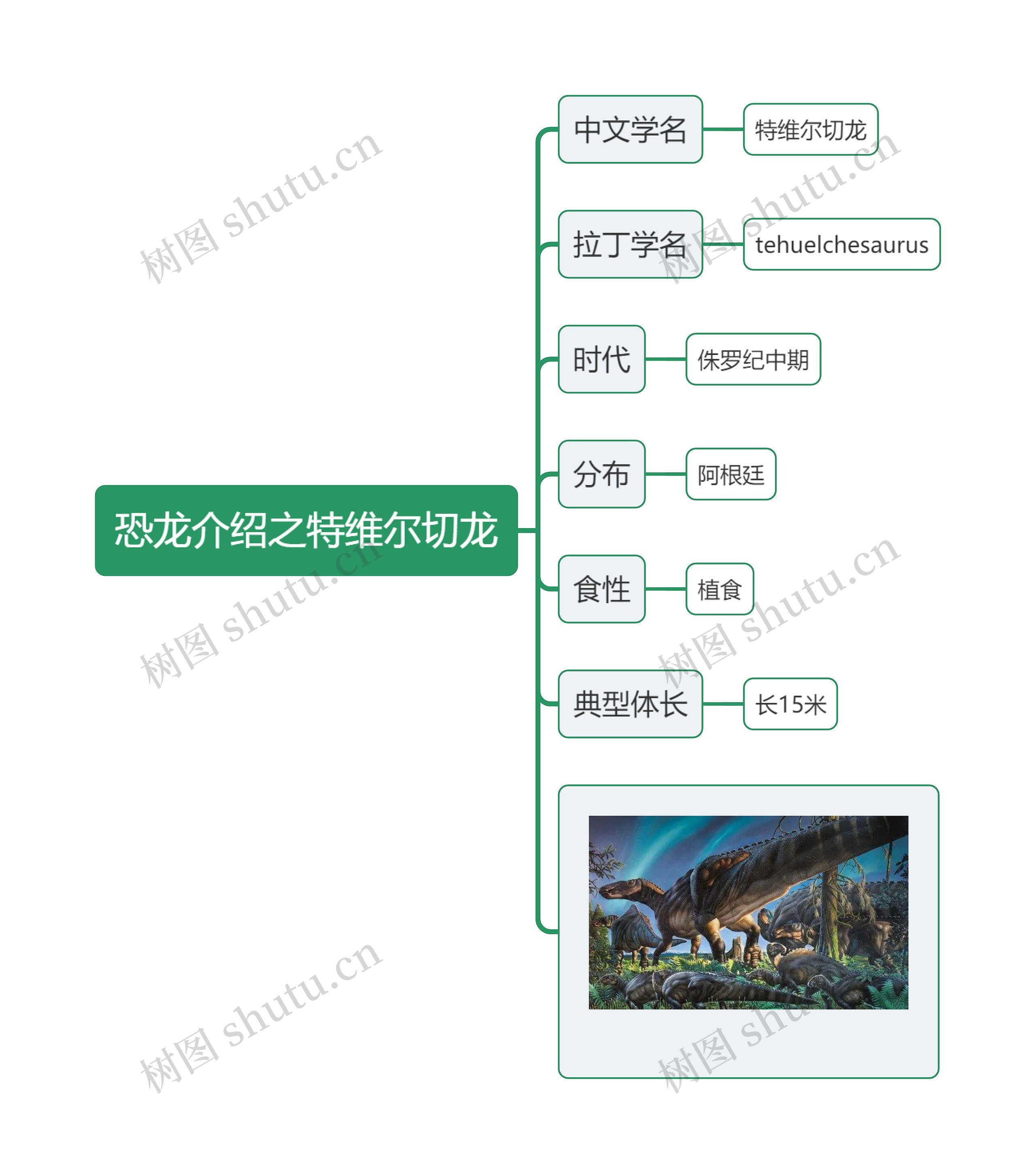 恐龙介绍之特维尔切龙思维导图