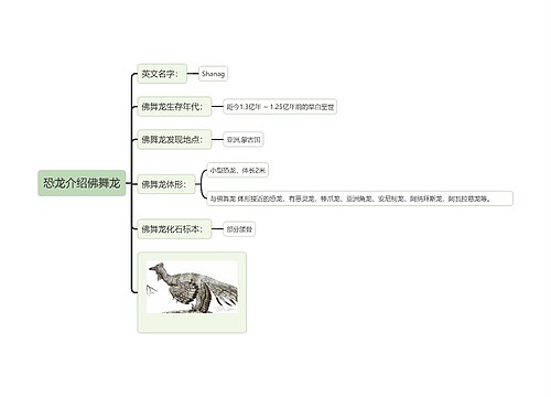 恐龙介绍佛舞龙