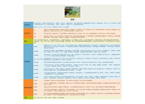 蝈蝈思维导图
