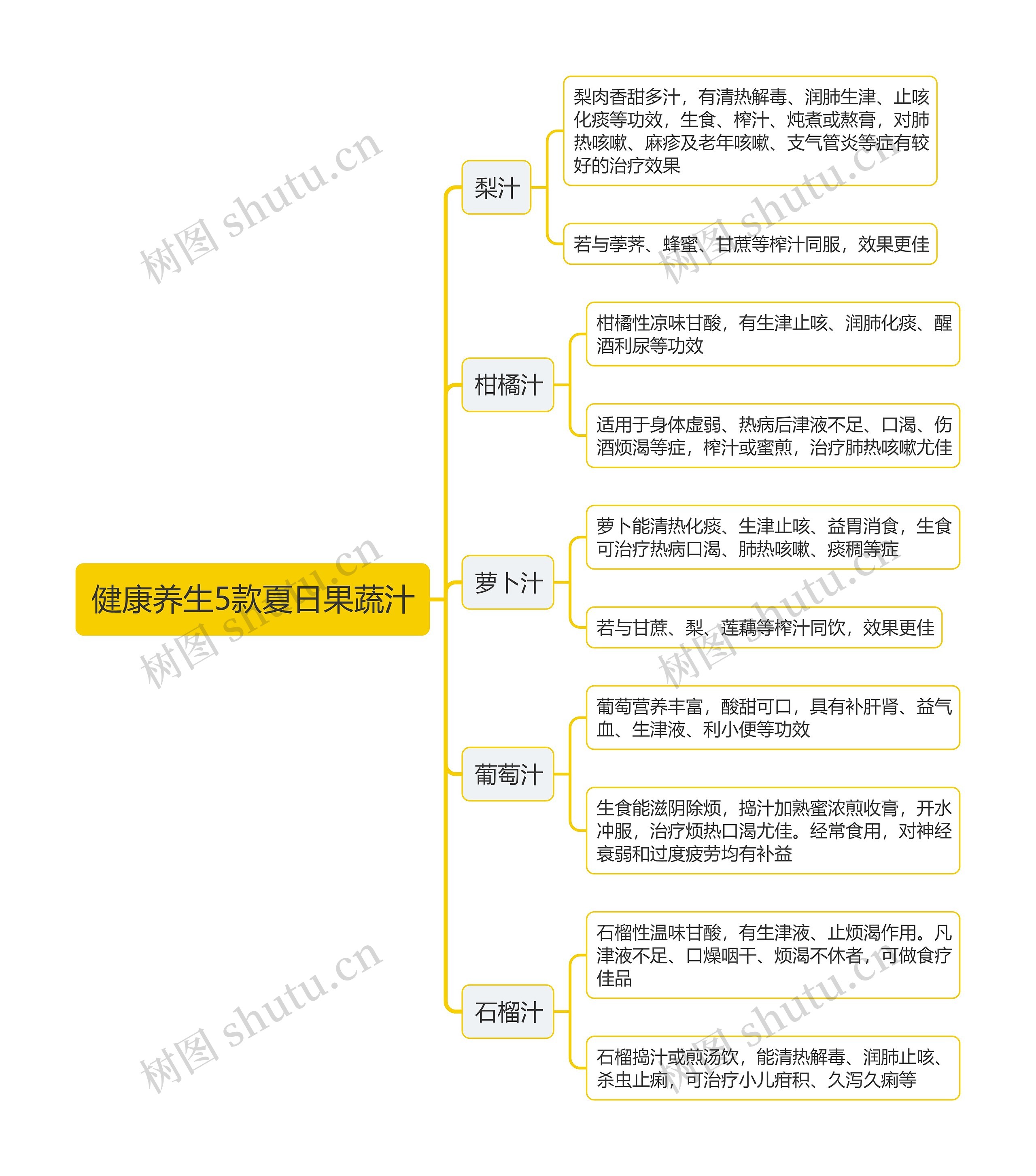 健康养生5款夏日果蔬汁思维导图