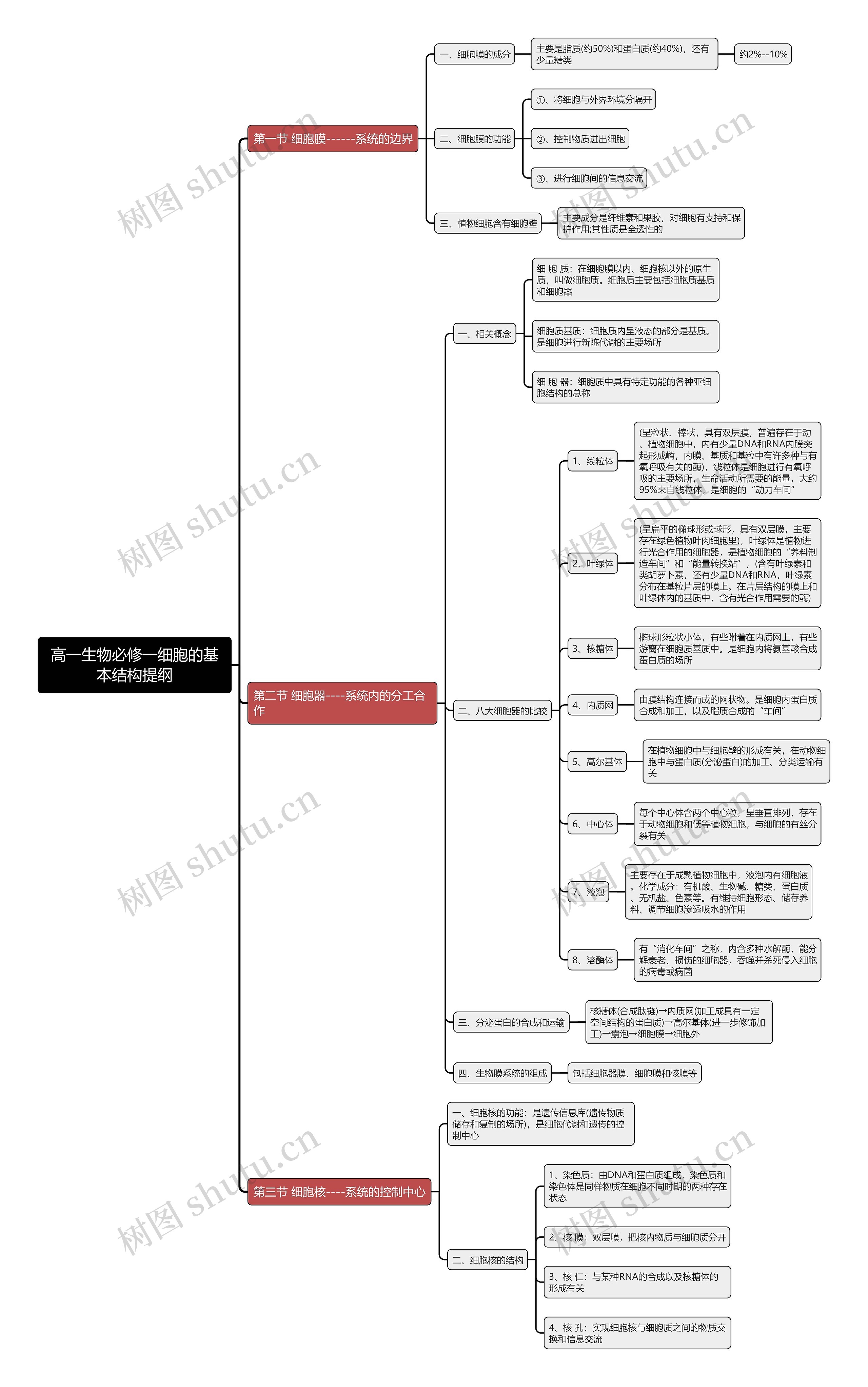 高一生物必修一细胞的基本结构提纲思维导图 高一生物必修一细胞的基本结构提纲思维导图