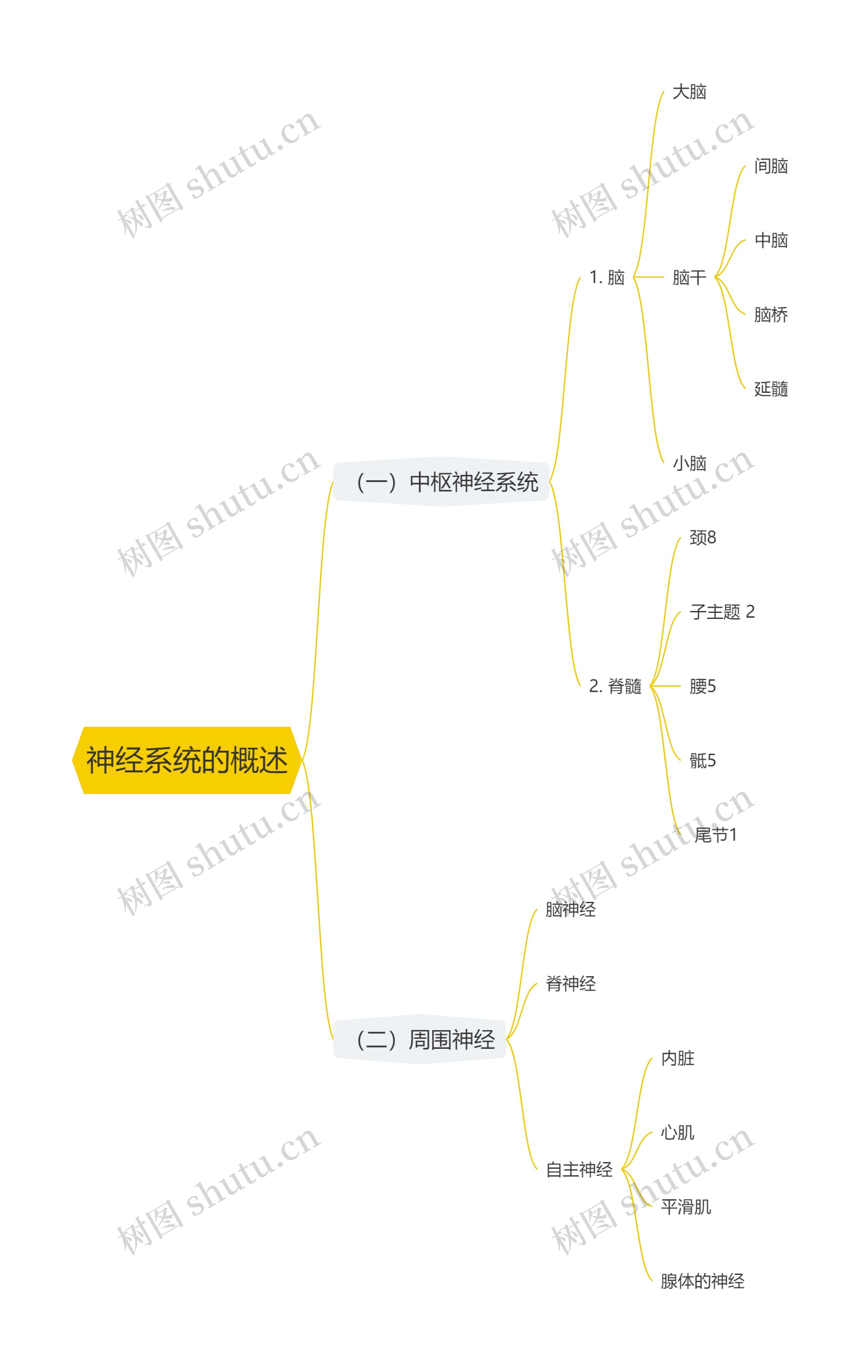 神经系统的概述思维导图