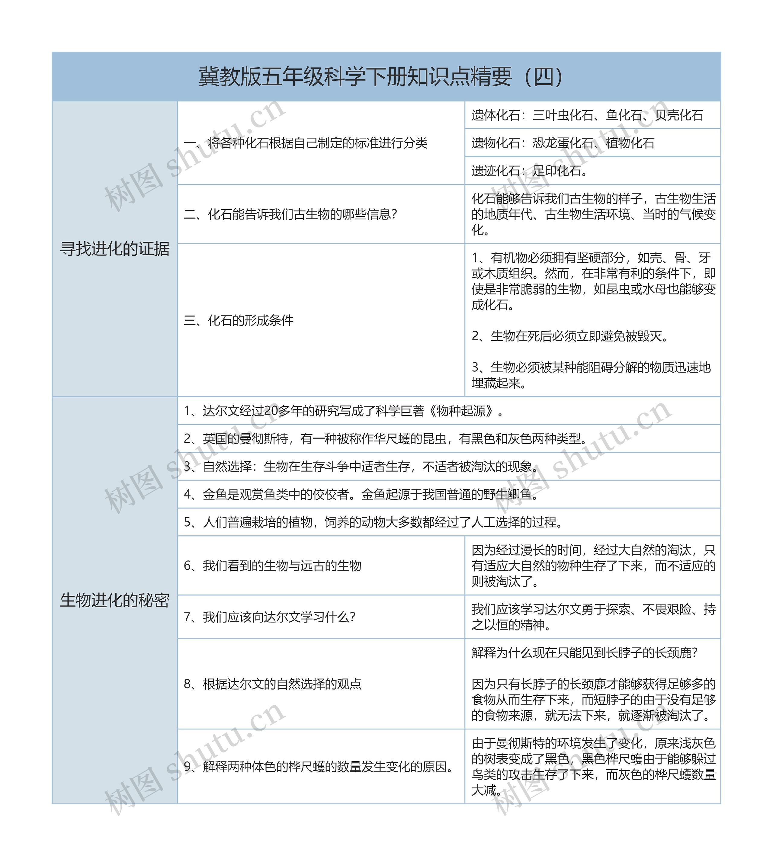 冀教版五下科学知识点精要（四）生物进化树形表格