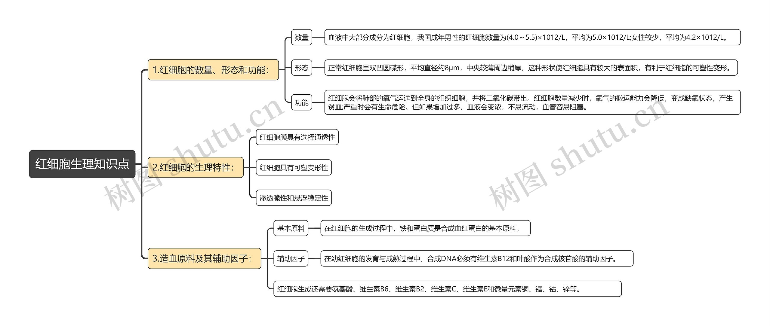 红细胞生理知识点思维导图