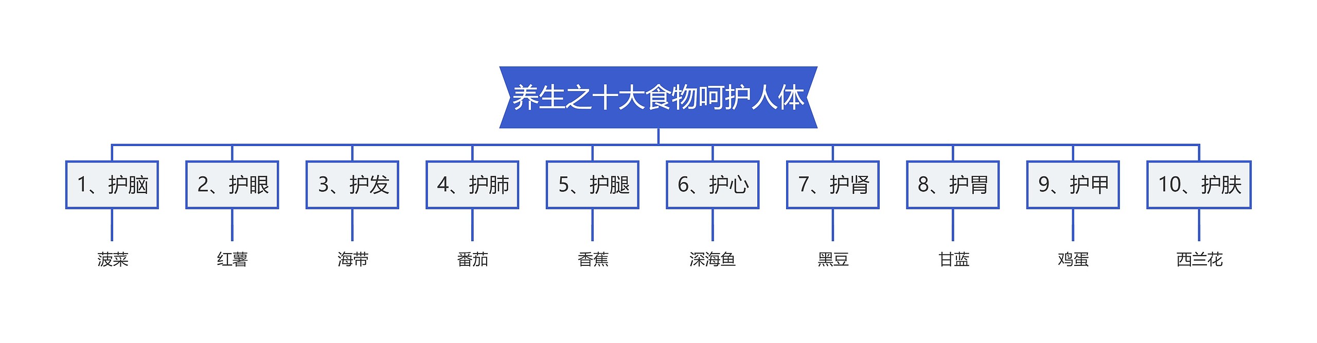 养生之十大食物呵护人体思维导图