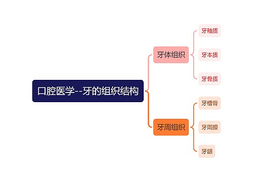 口腔医学--牙的组织结构思维导图