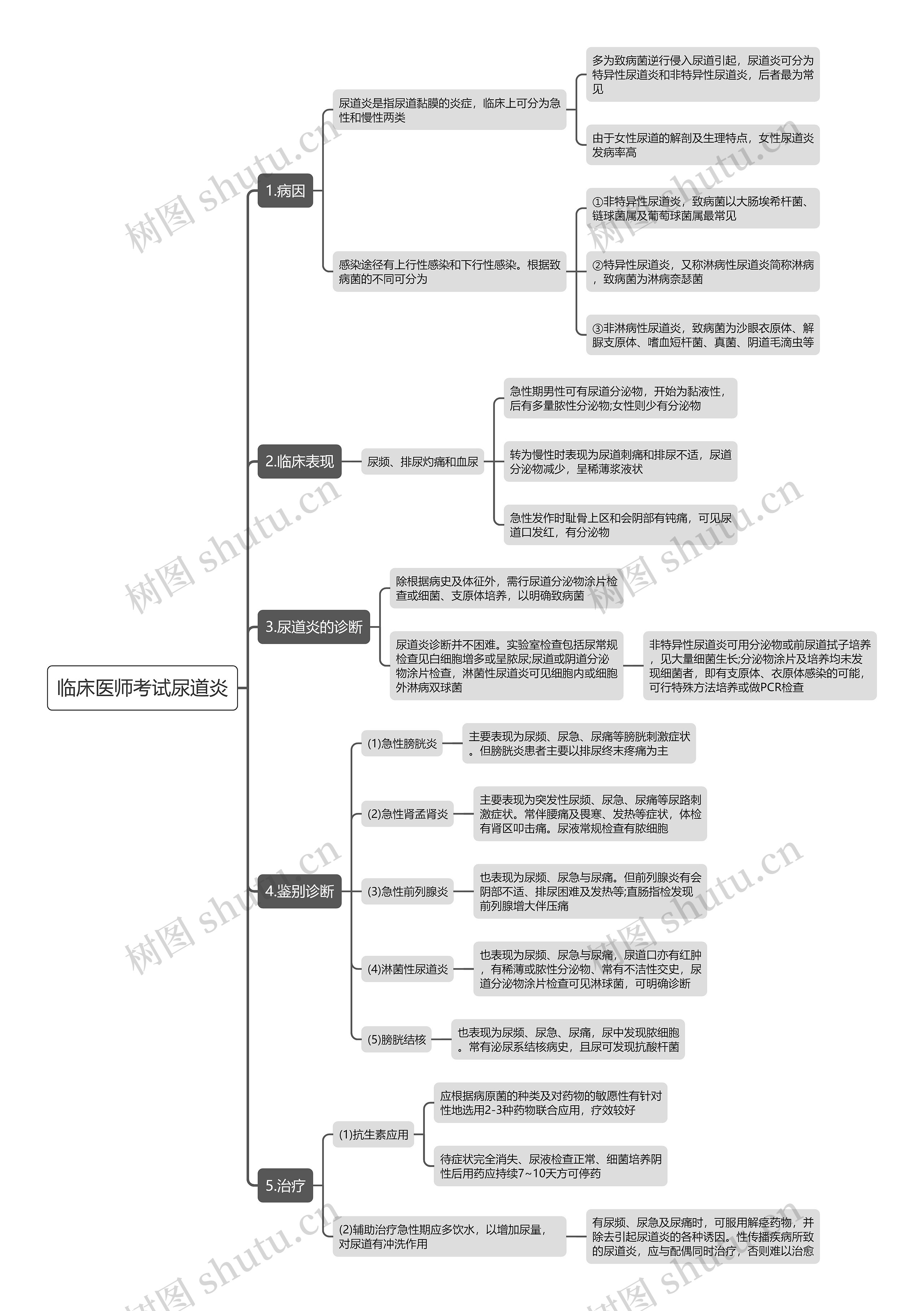 临床医师考试尿道炎思维导图