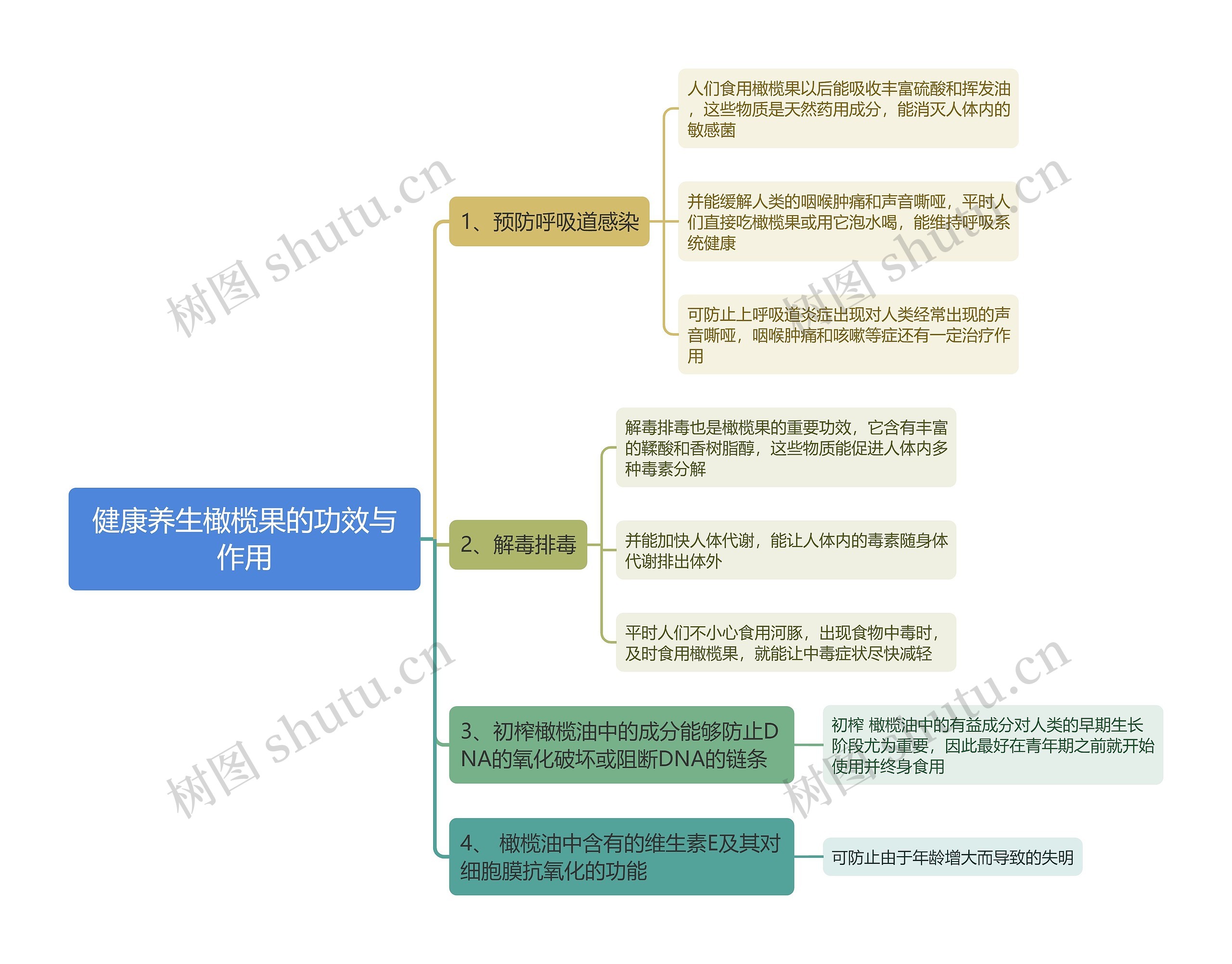 健康养生橄榄果的功效与作用思维导图 健康养生橄榄果的功效与作用思维导图