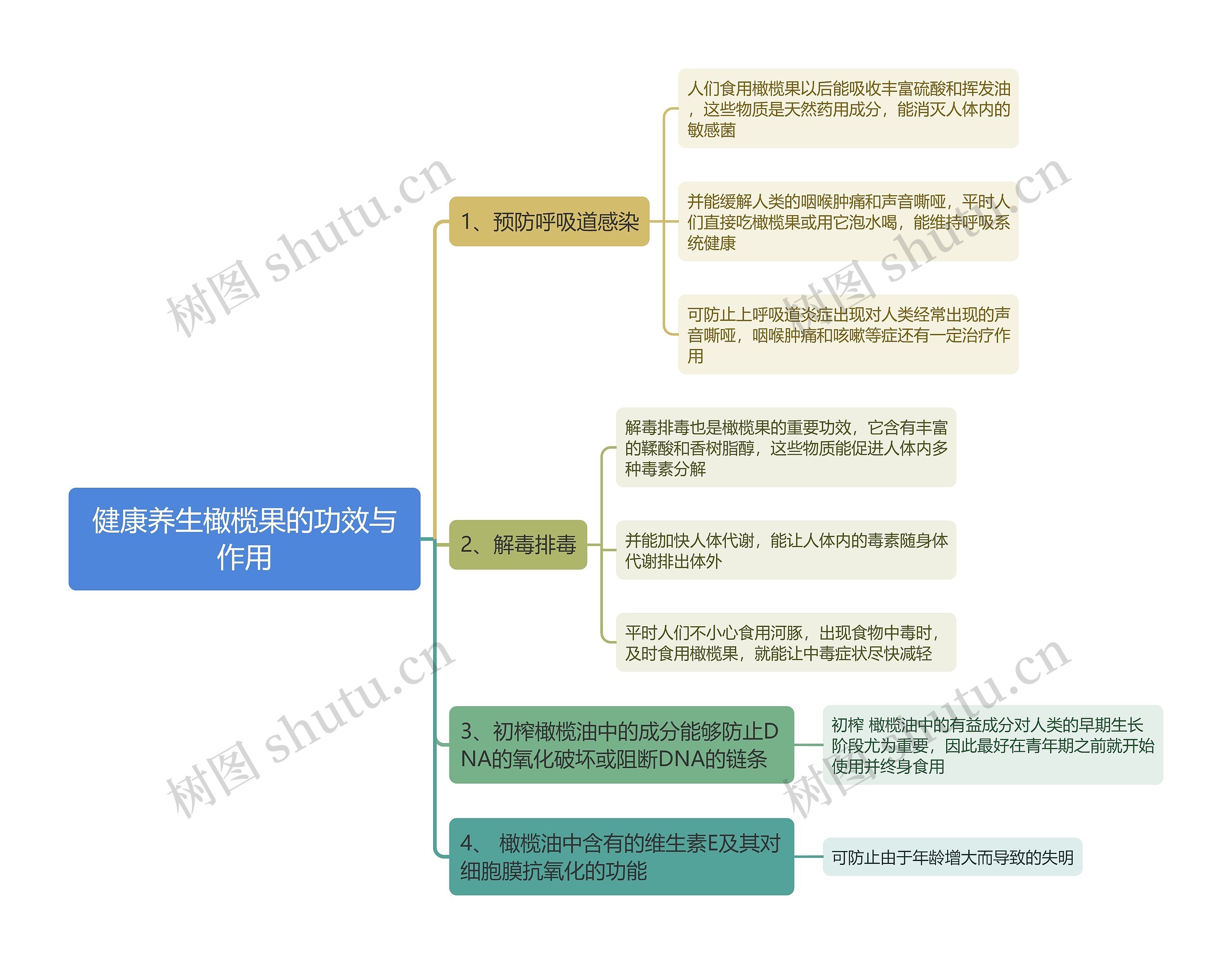 健康养生橄榄果的功效与作用思维导图