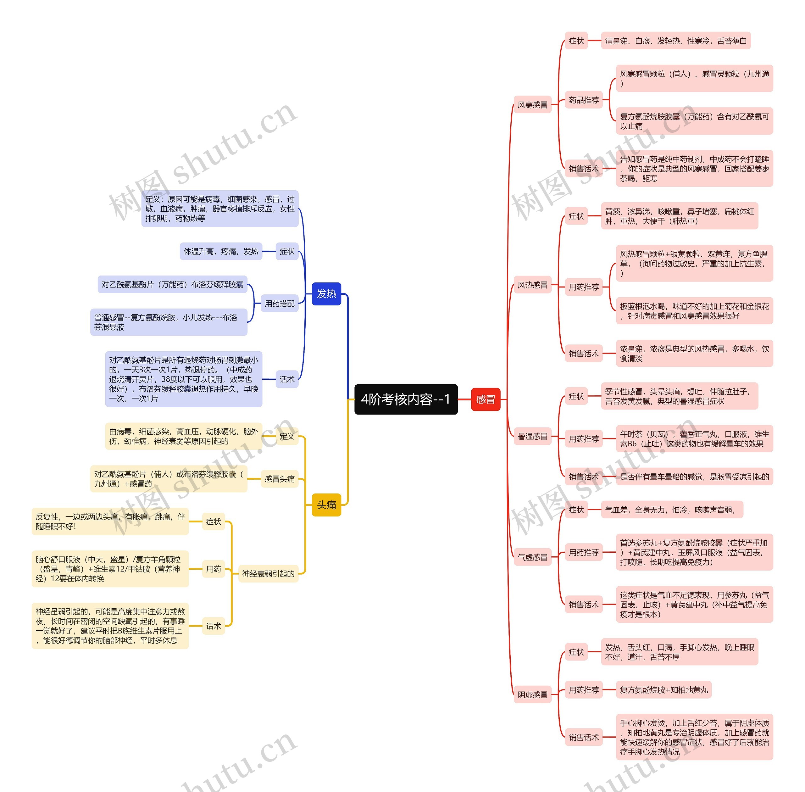 医学4阶考核内容思维导图