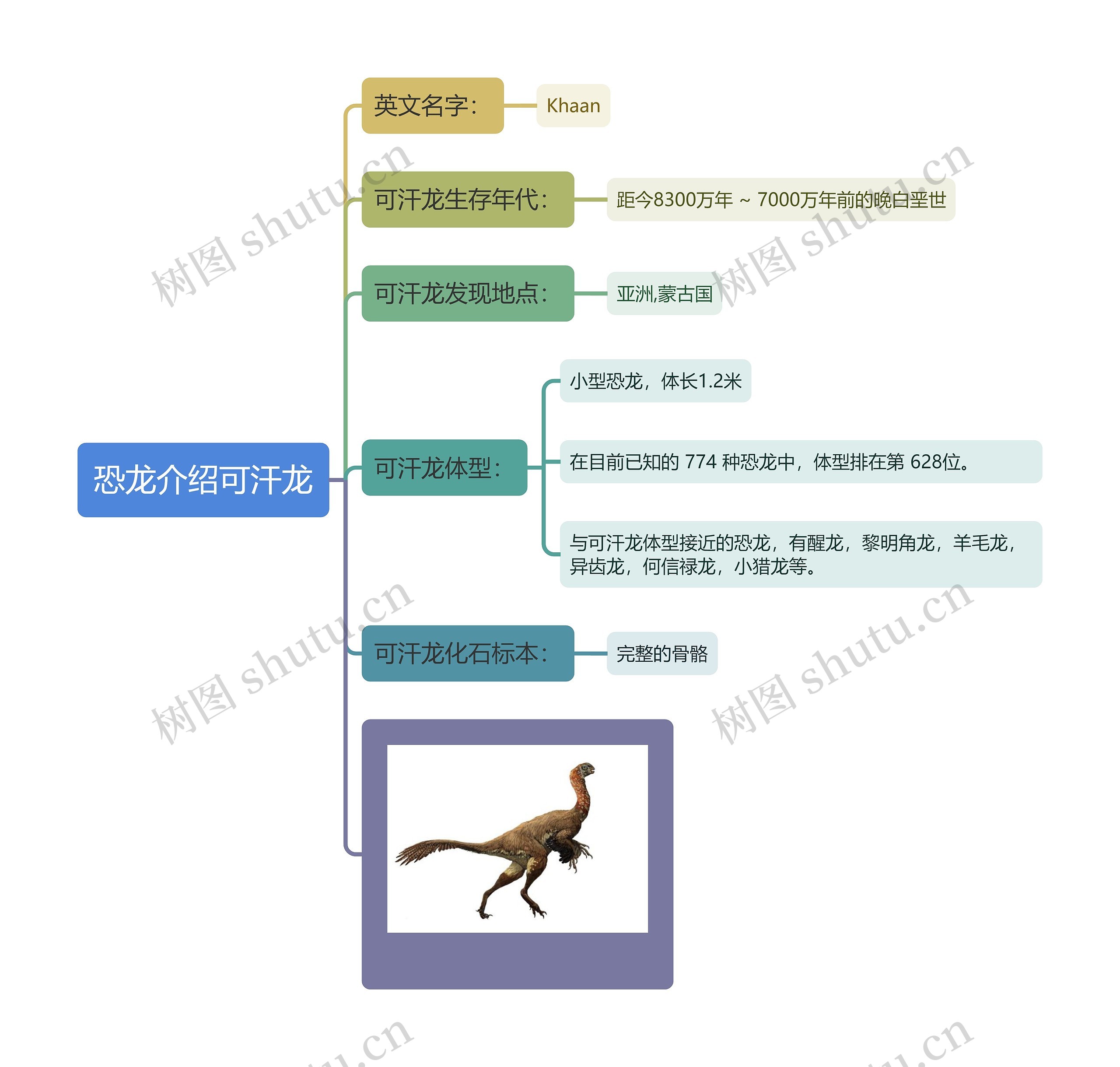 恐龙介绍可汗龙