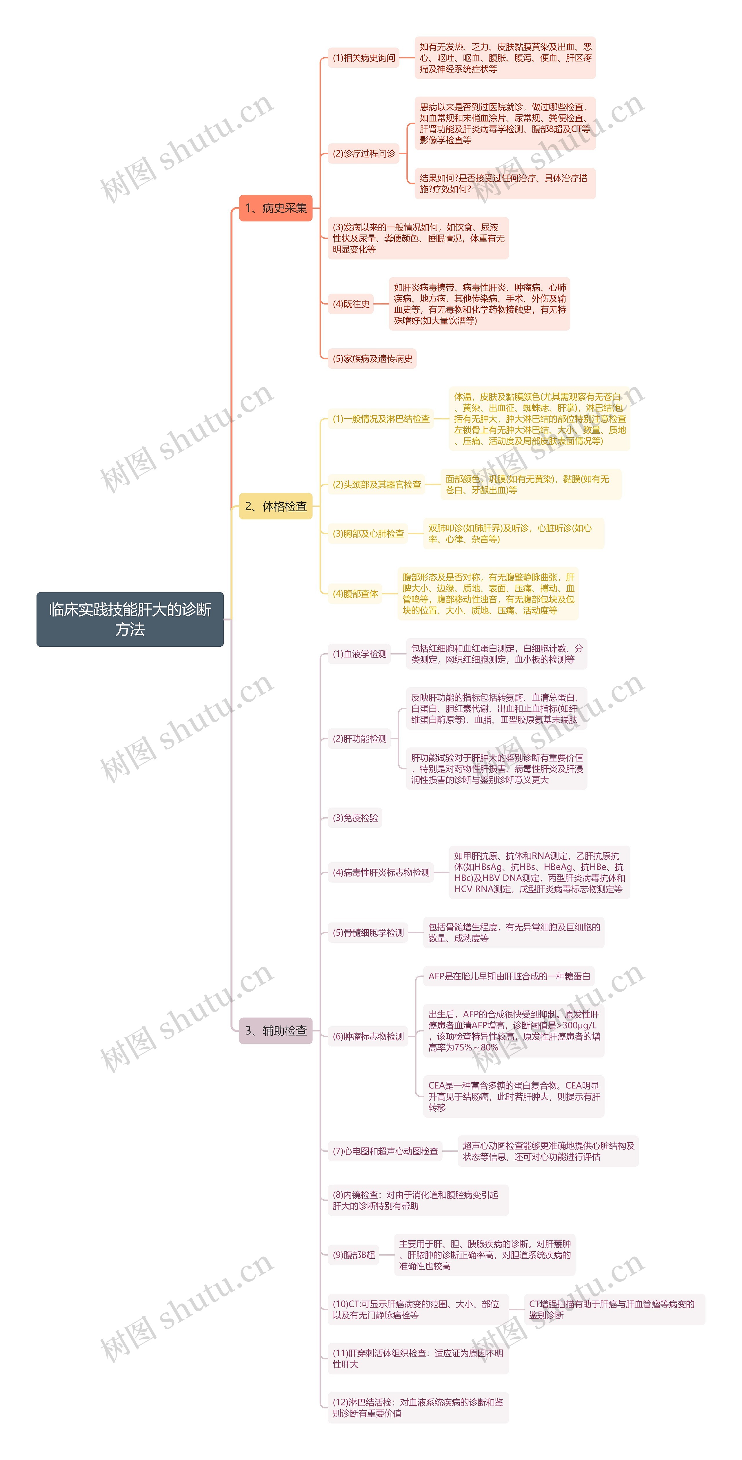 临床实践技能肝大的诊断方法思维导图