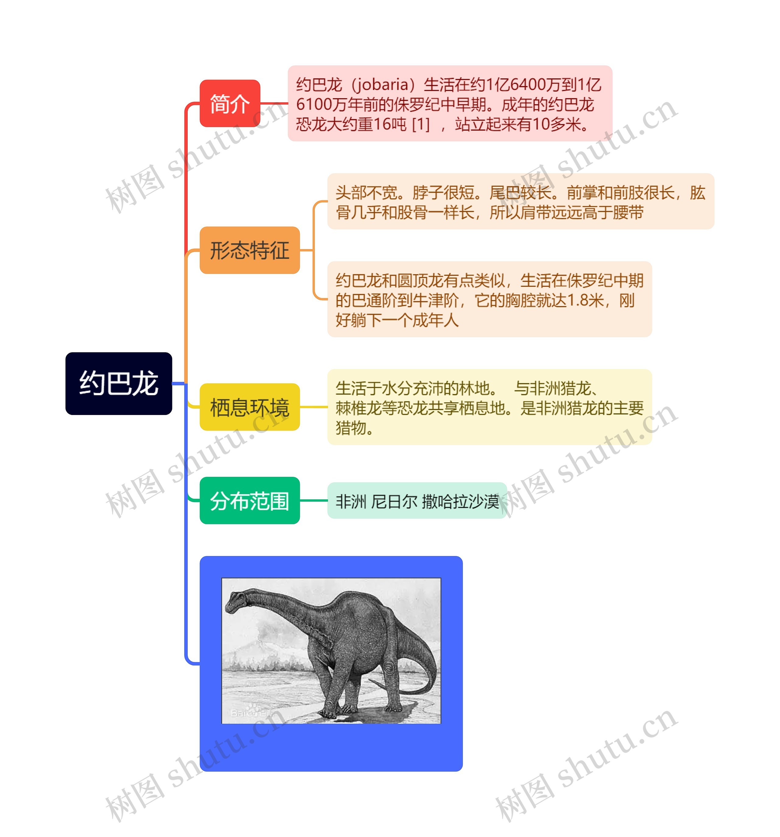 约巴龙思维导图