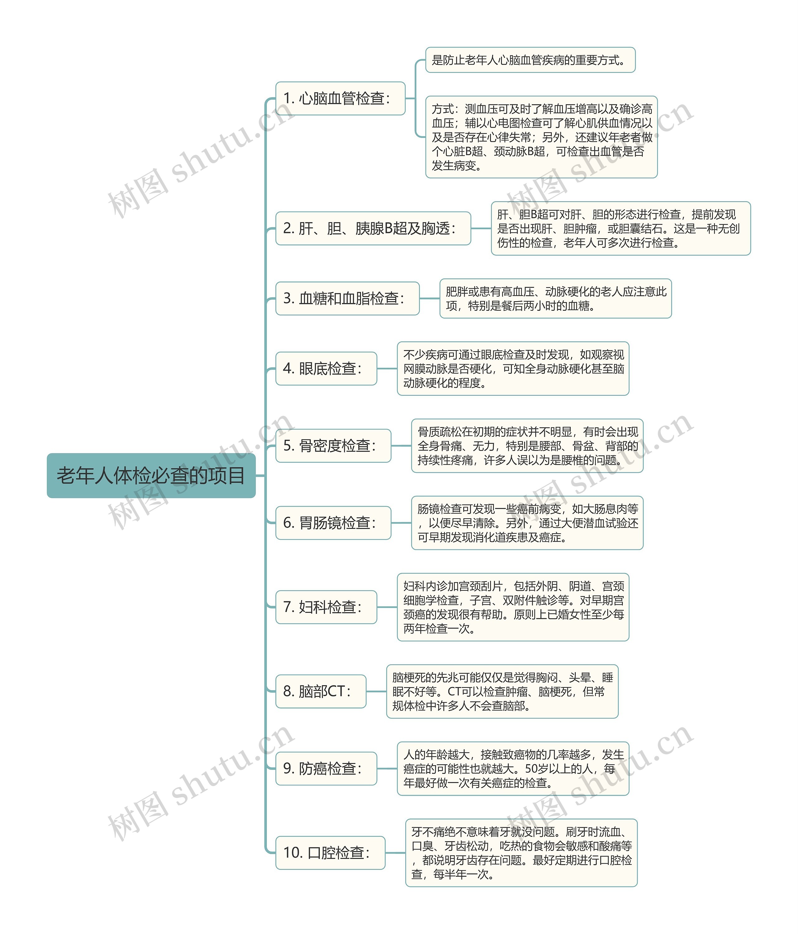 老年人体检必查的项目思维导图