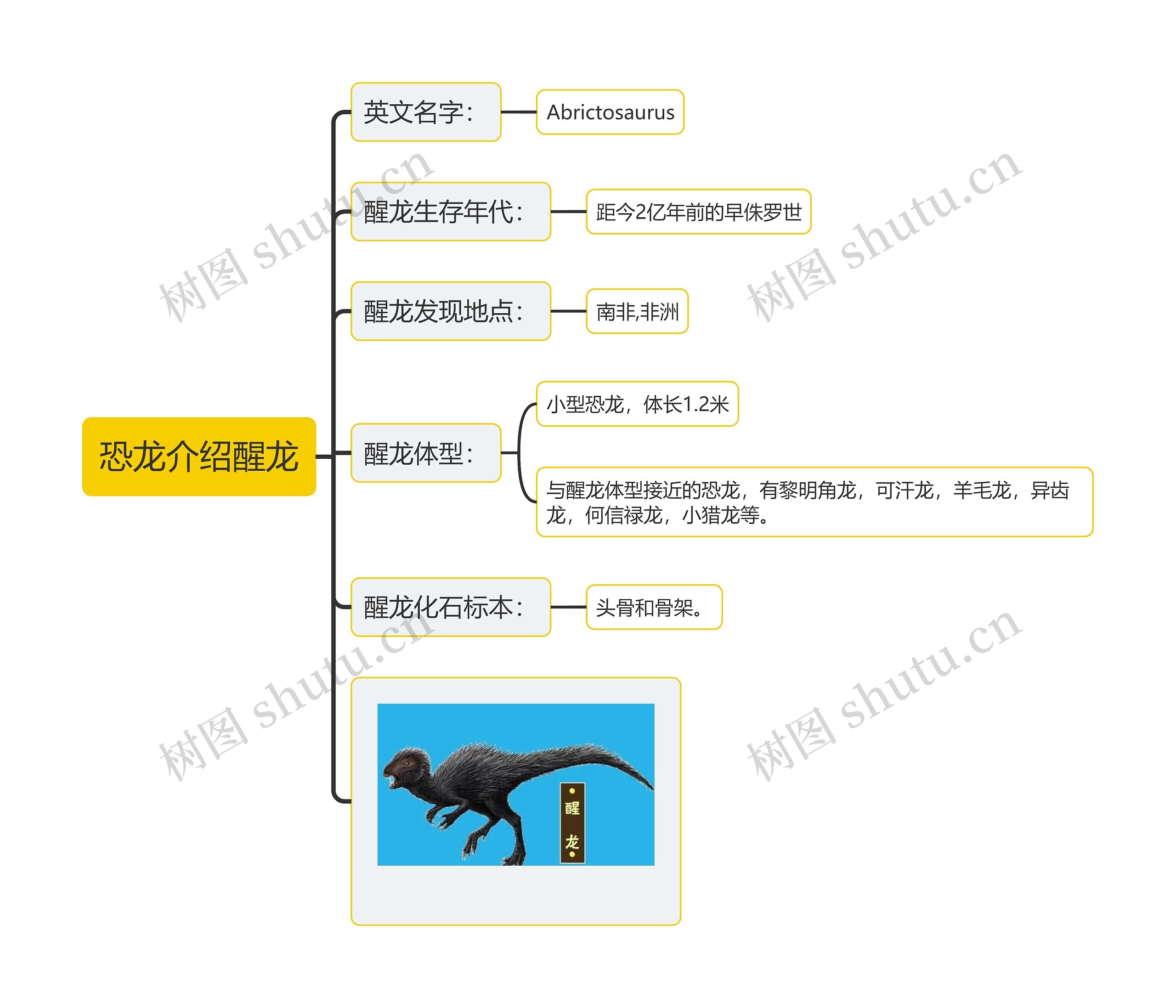 恐龙介绍醒龙