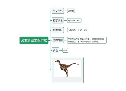 恐龙介绍之酋尔龙思维导图