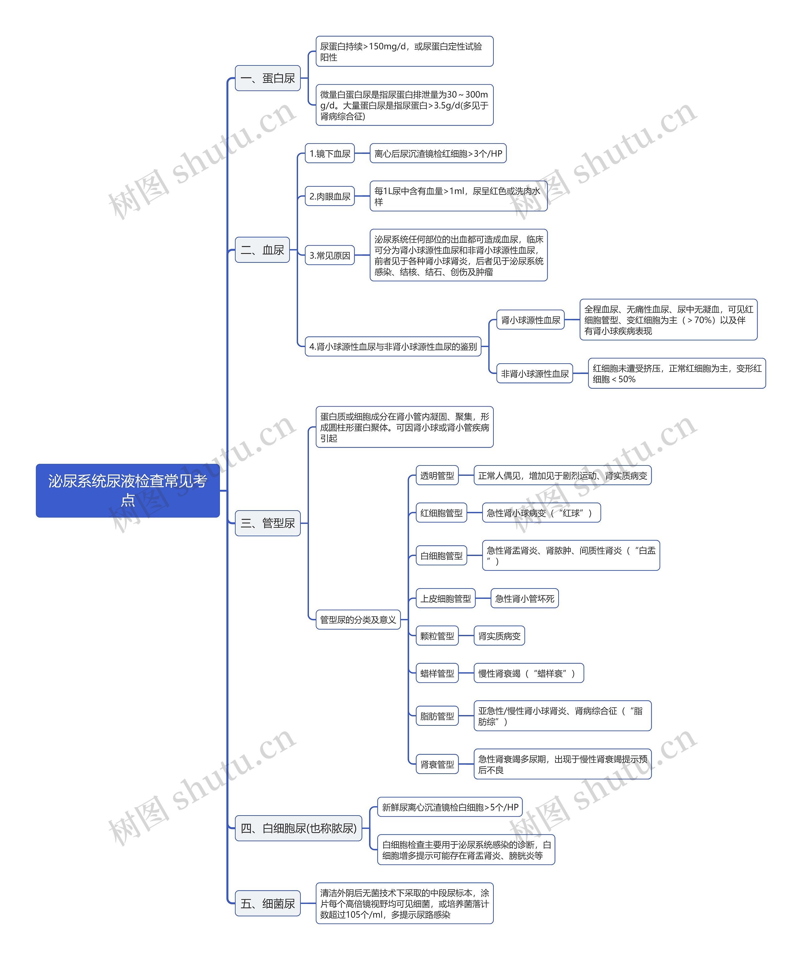 泌尿系统尿液检查常见考点思维导图