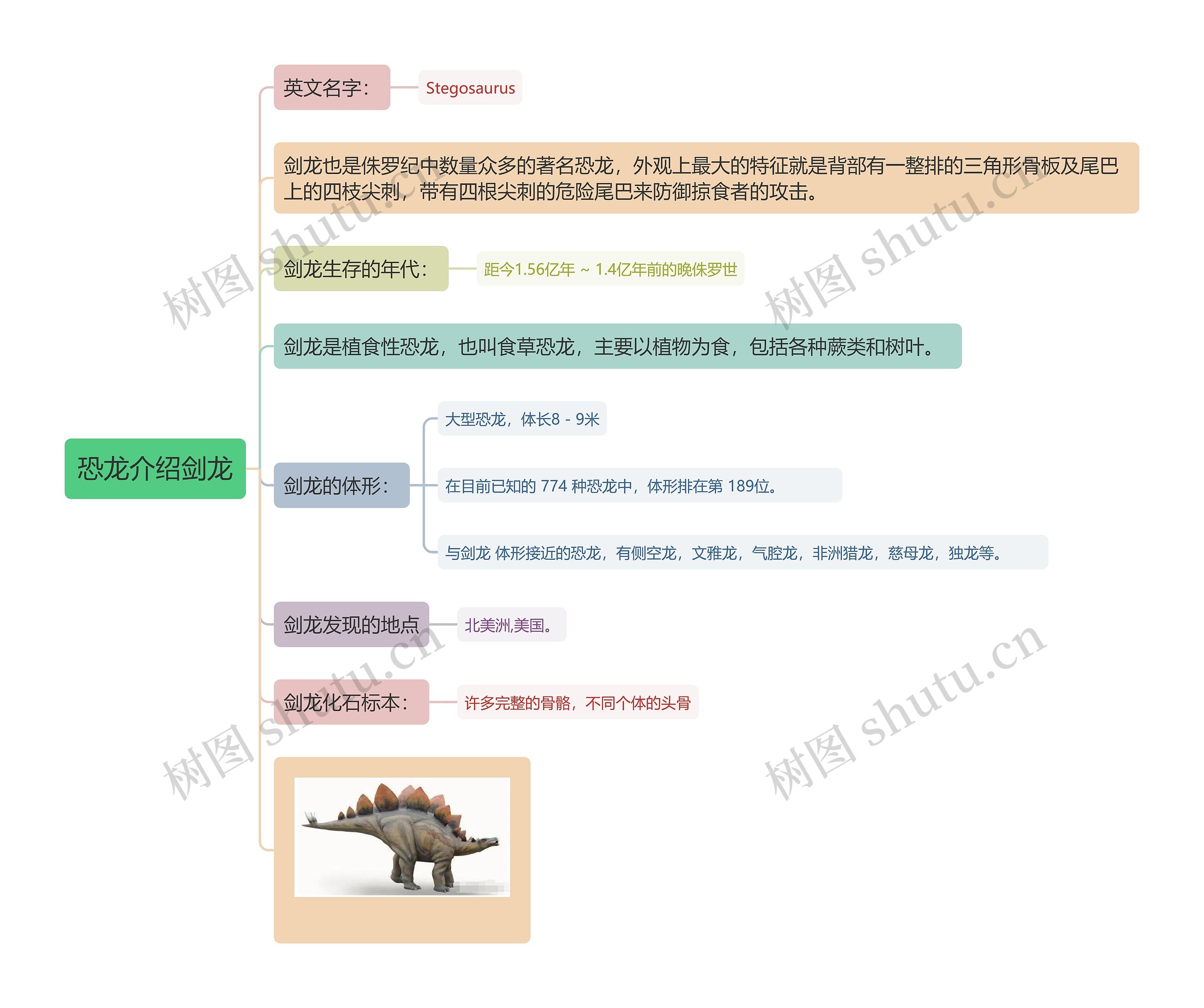 恐龙介绍剑龙思维导图