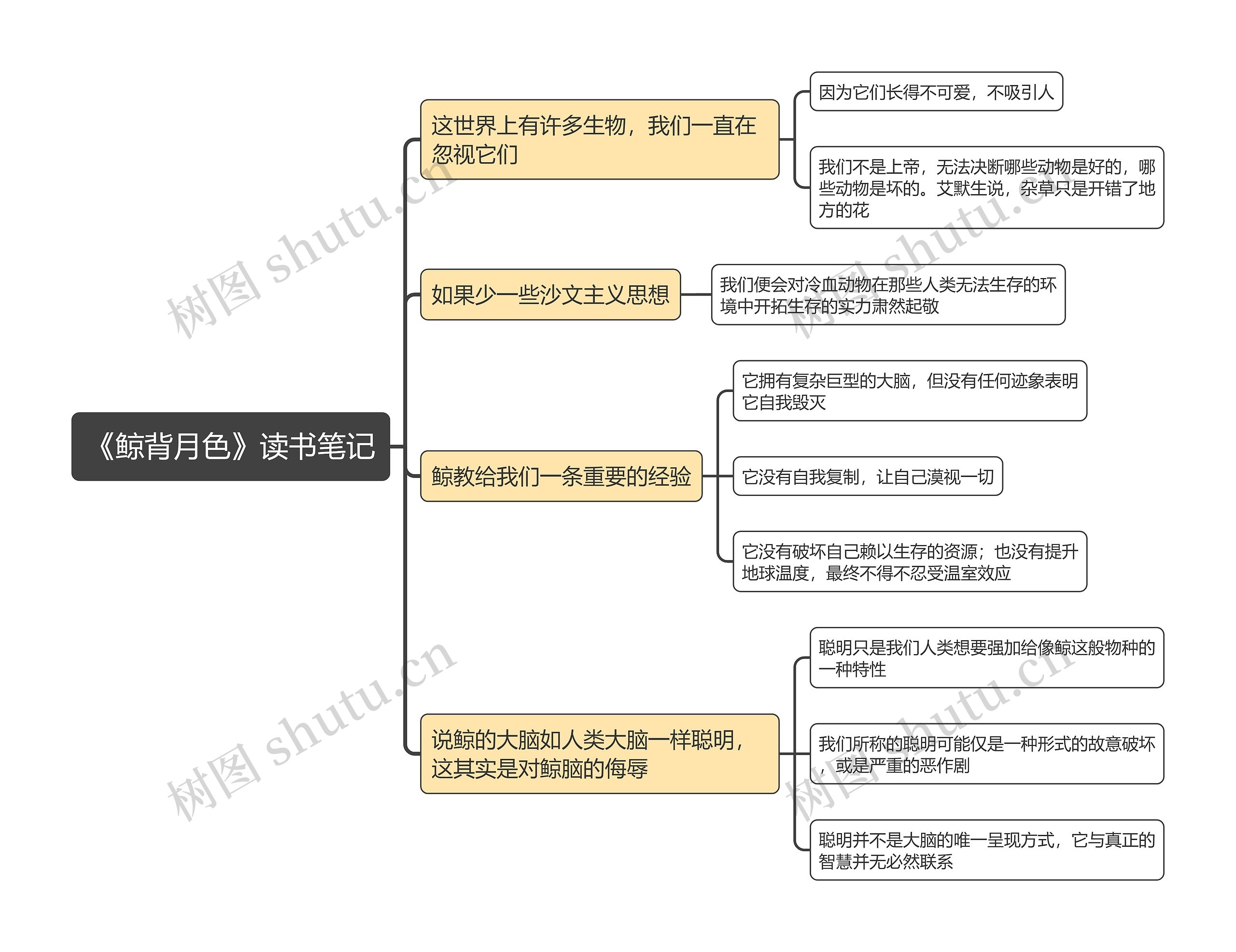 《鲸背月色》读书笔记思维导图