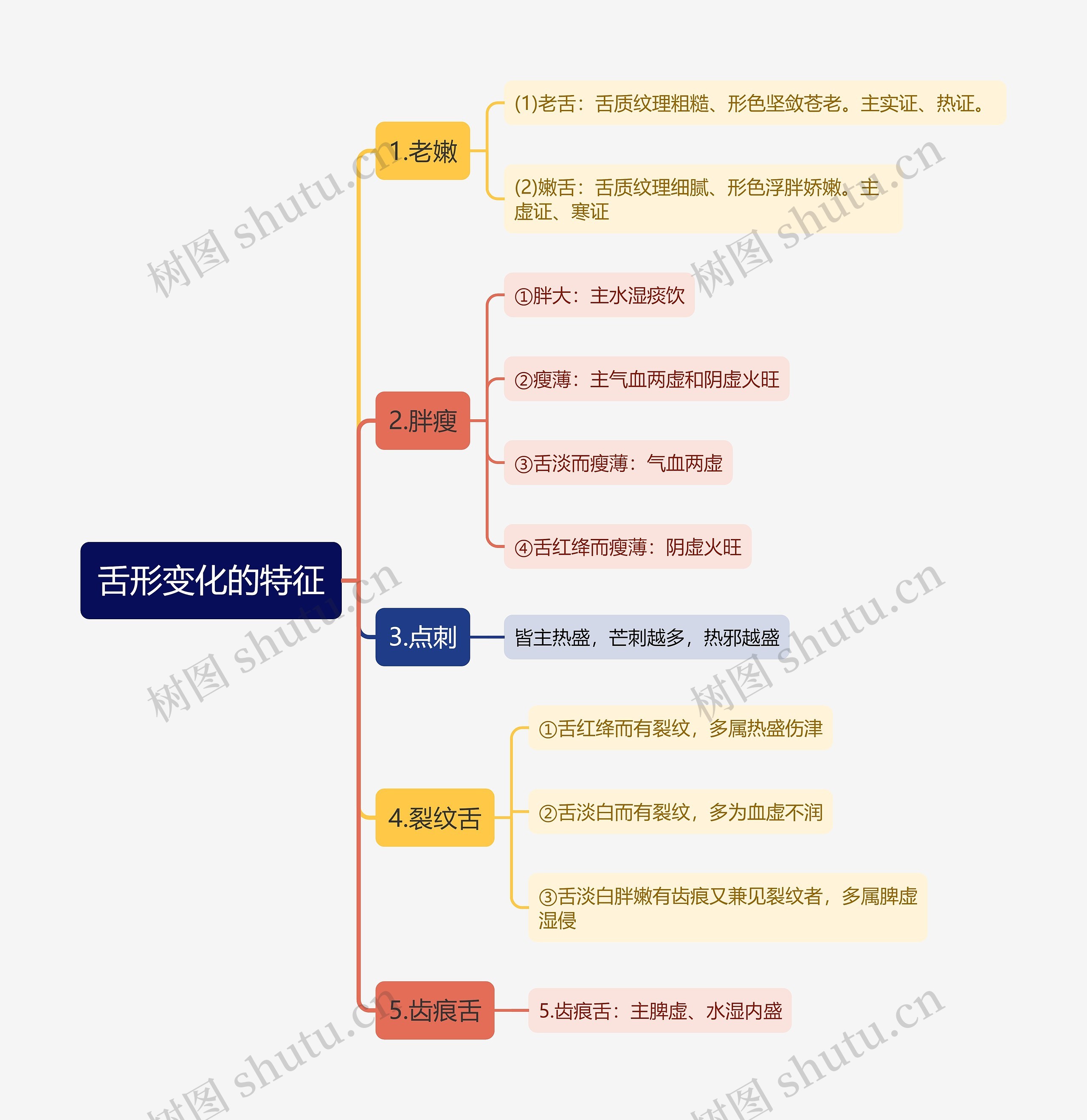 舌形变化的特征